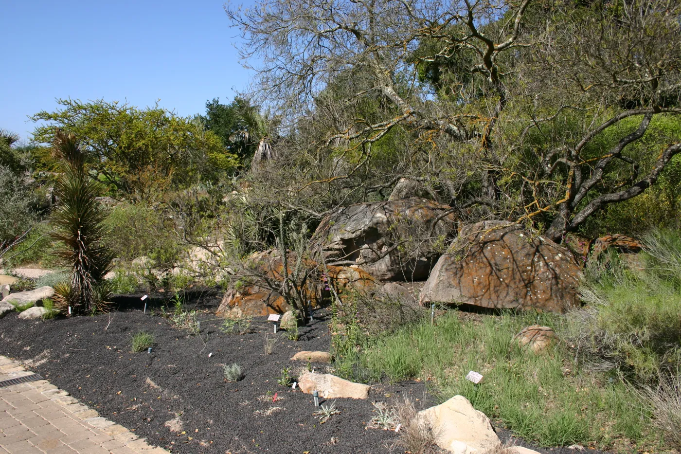 Desert Section, lava rock gravel