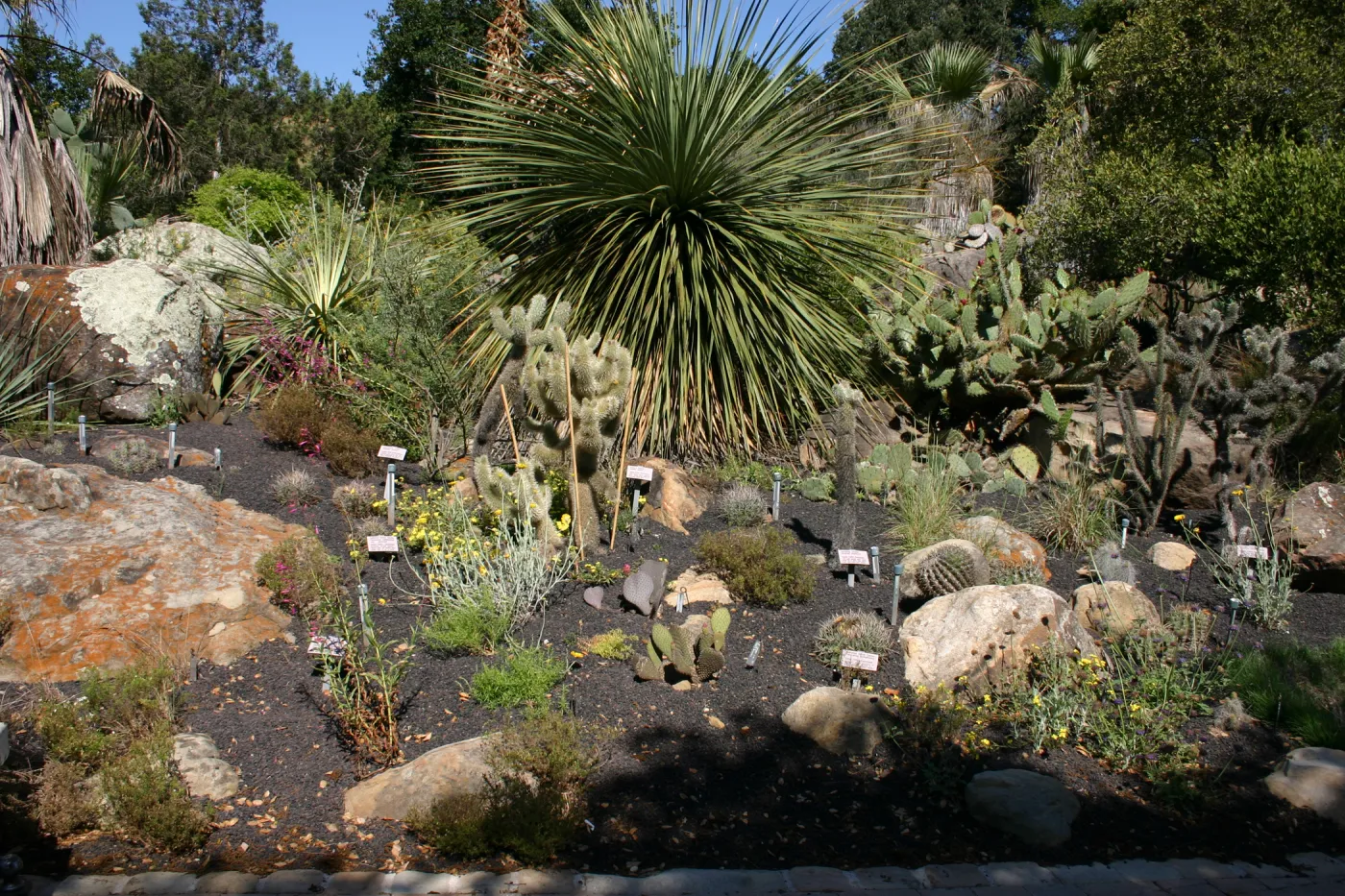 Desert Section, lava rock gravel