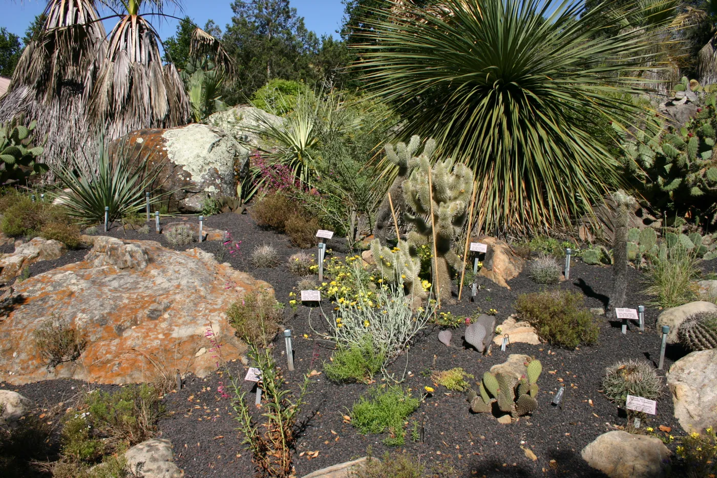 Desert Section, lava rock gravel