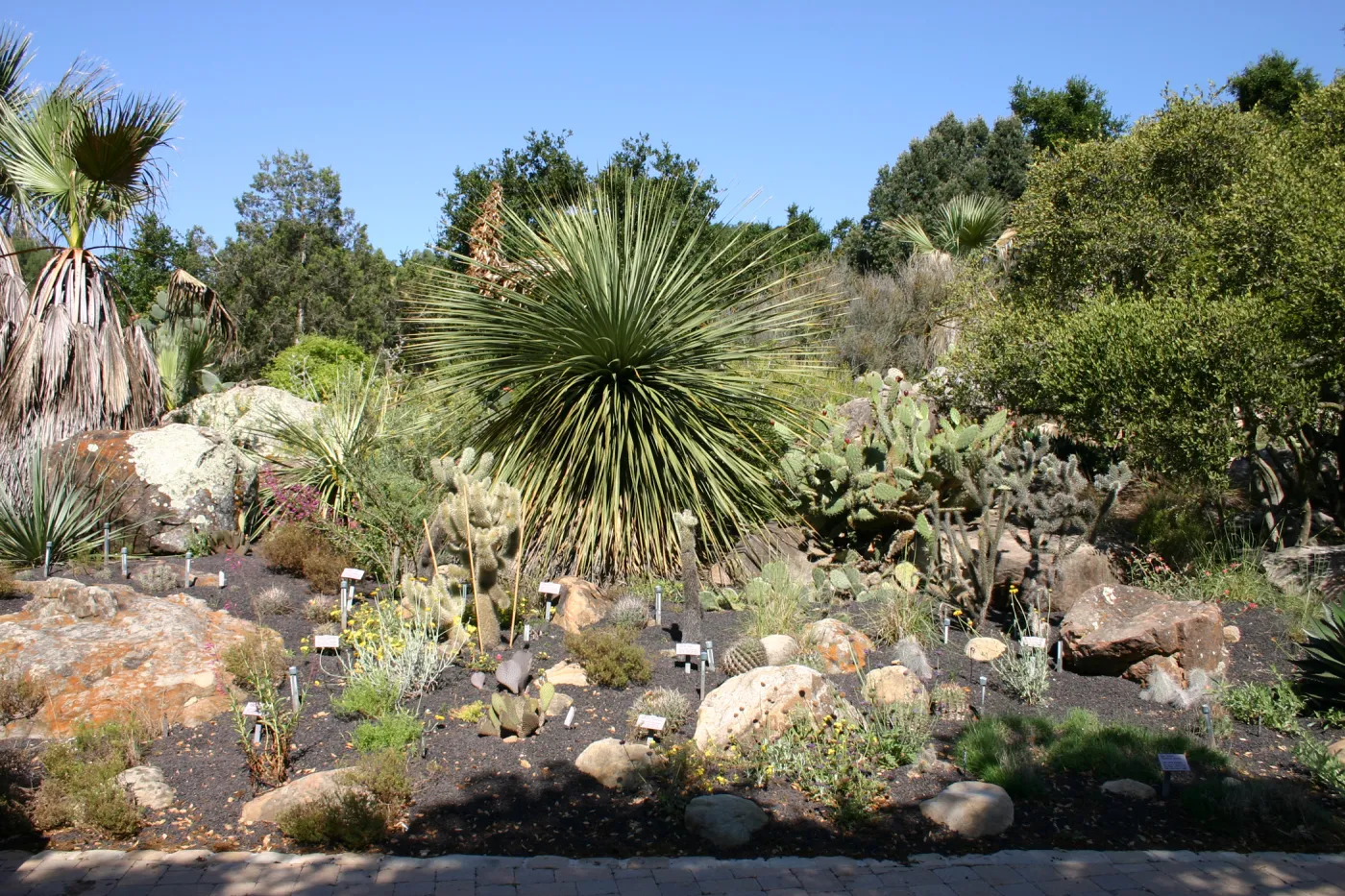 Desert Section, lava rock gravel