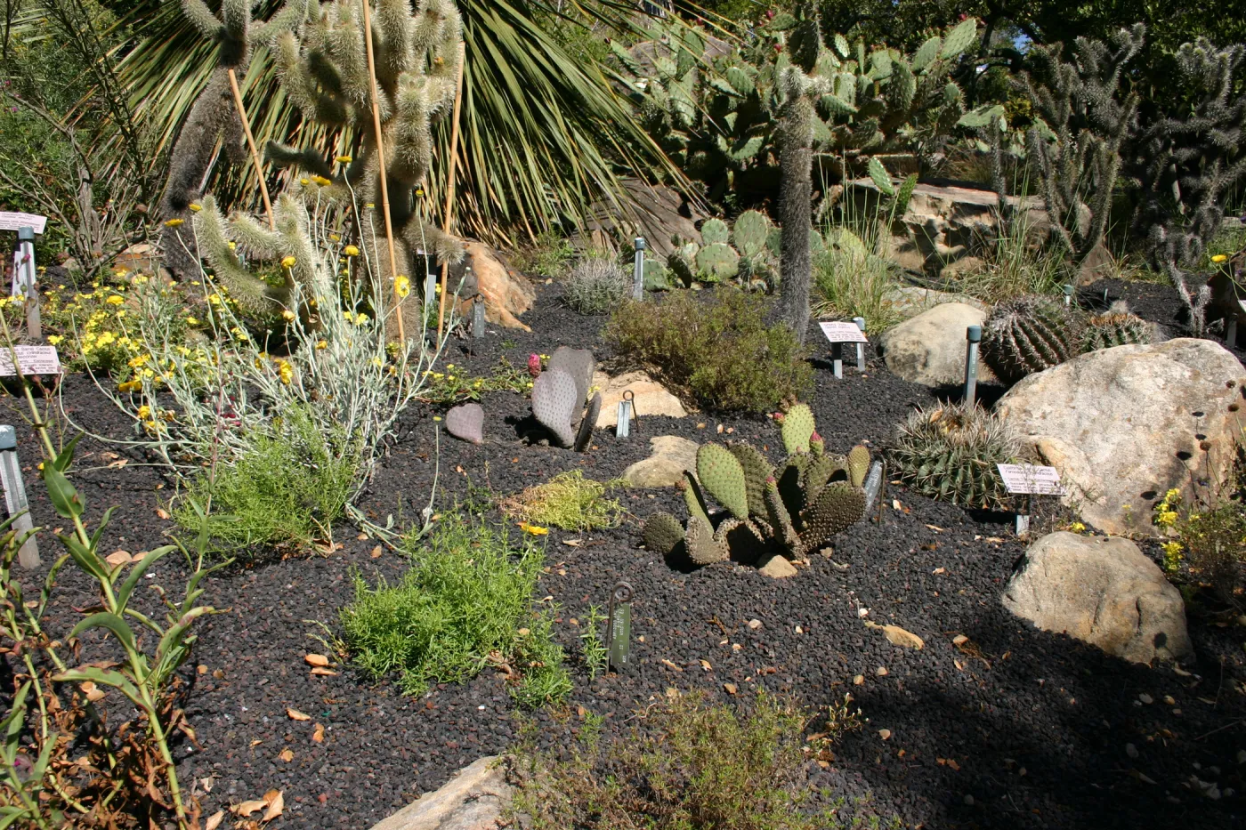 Desert Section, lava rock gravel