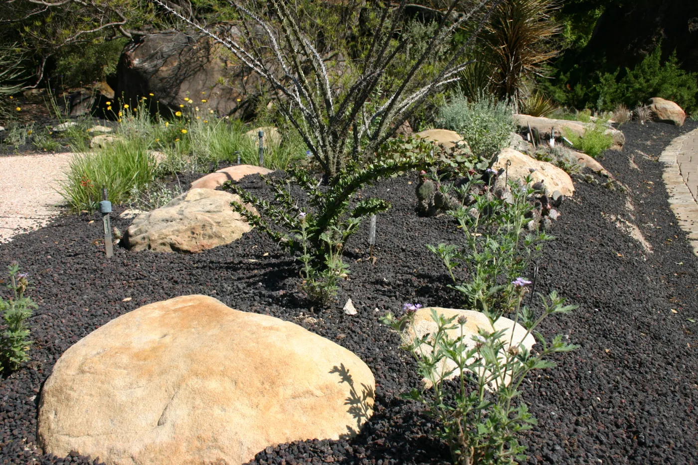 Desert Section, lava rock gravel