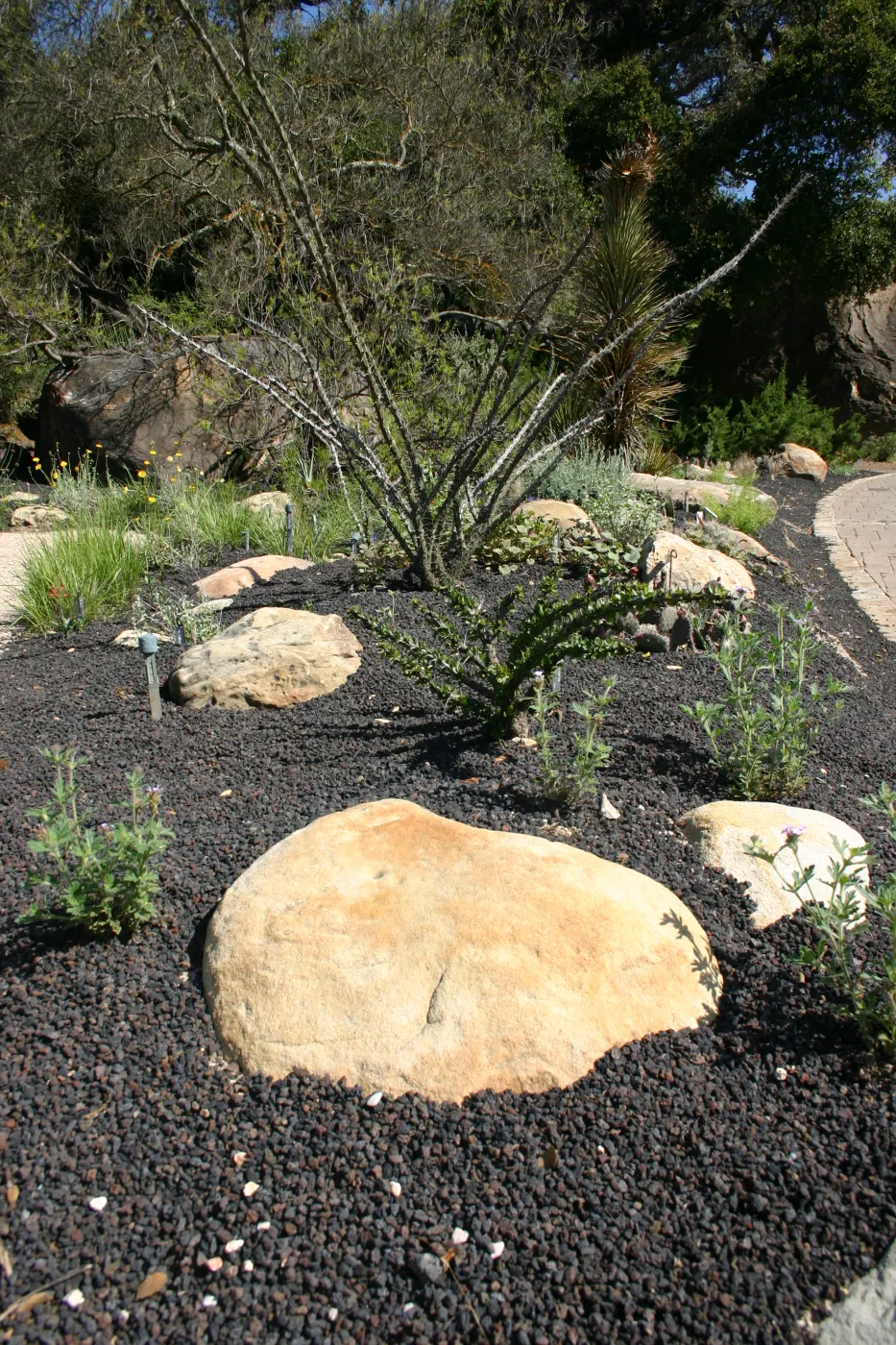 Desert Section, lava rock gravel