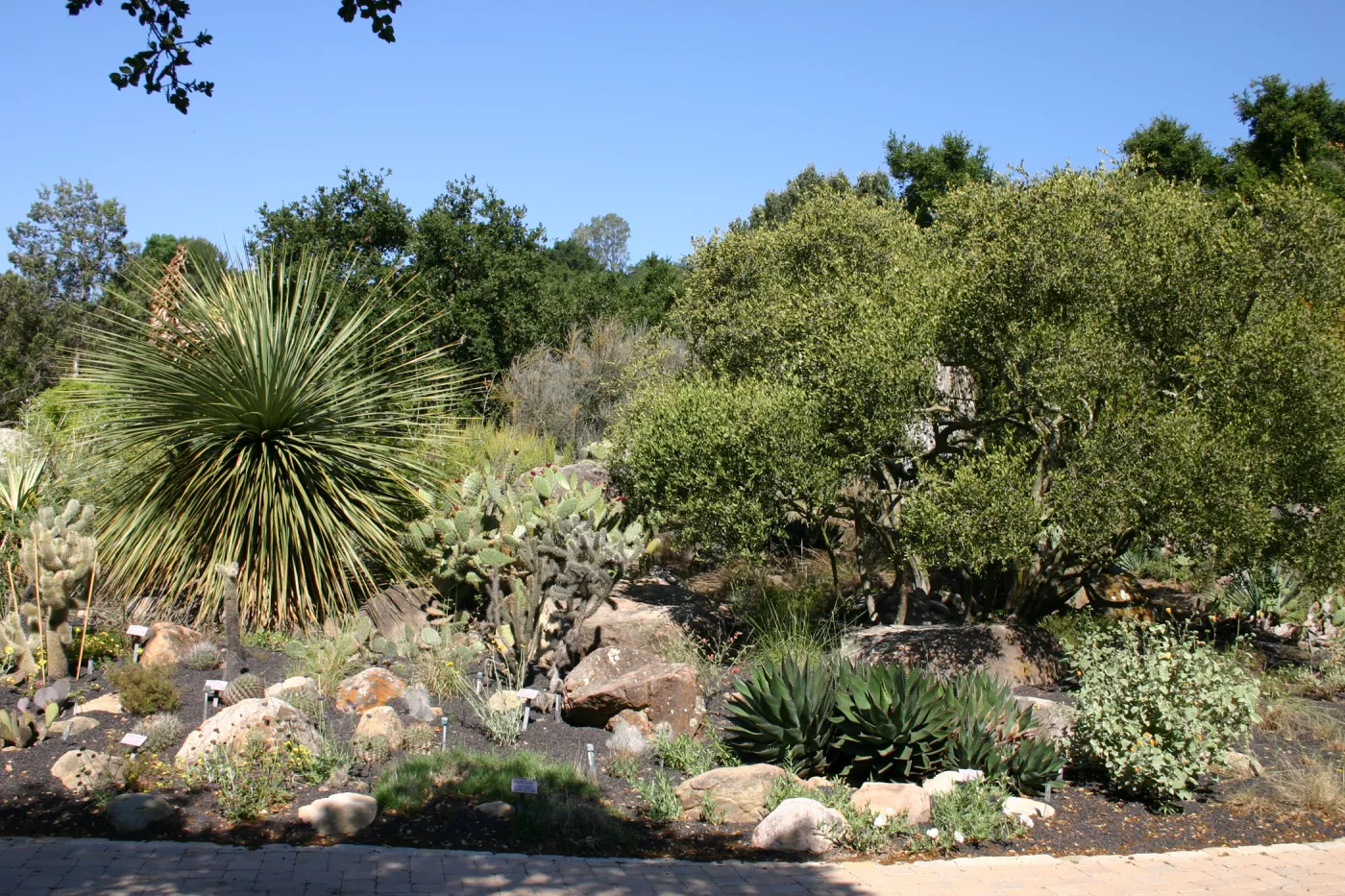 Desert Section, lava rock gravel