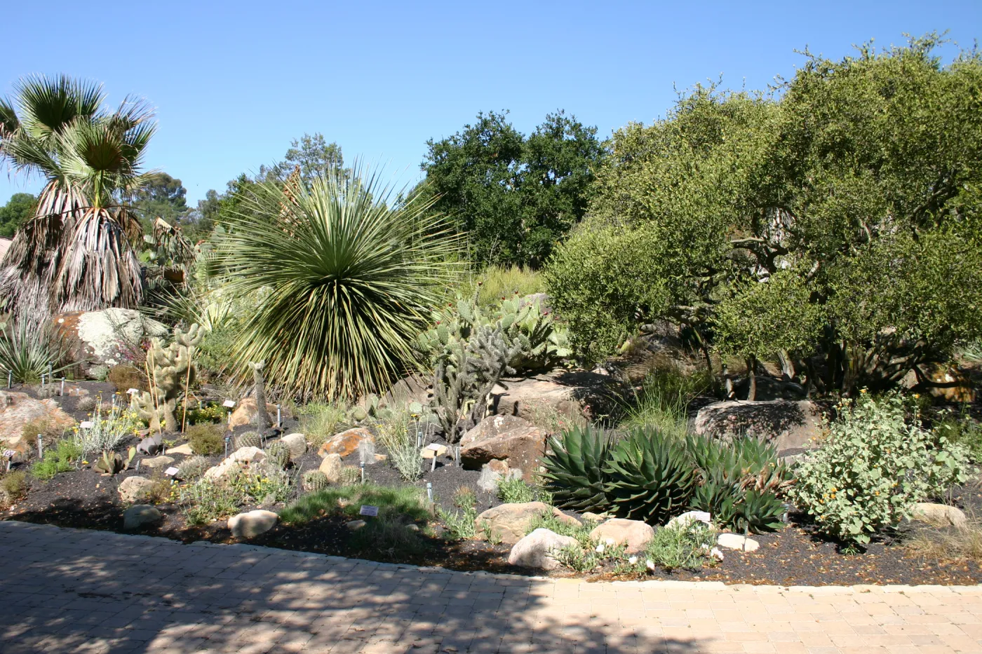 Desert Section, lava rock gravel