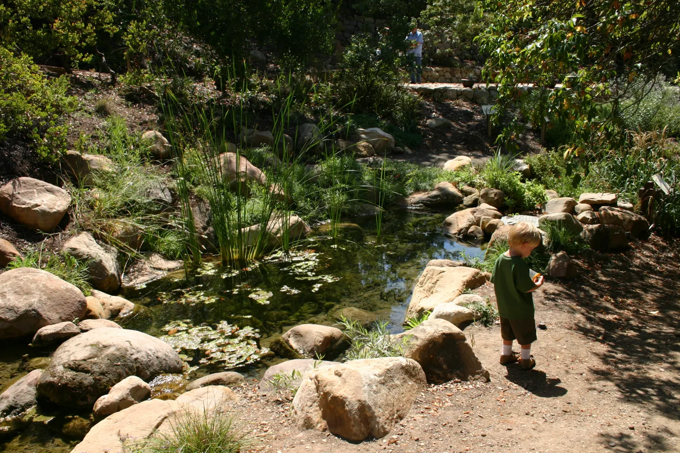 Discovery Garden, child