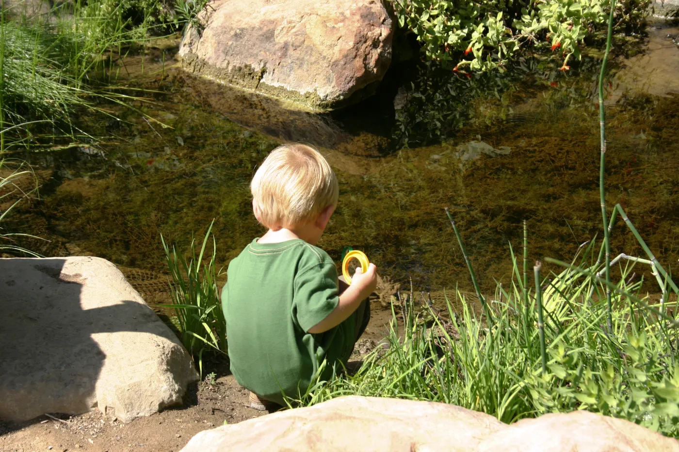 Discovery Garden, child