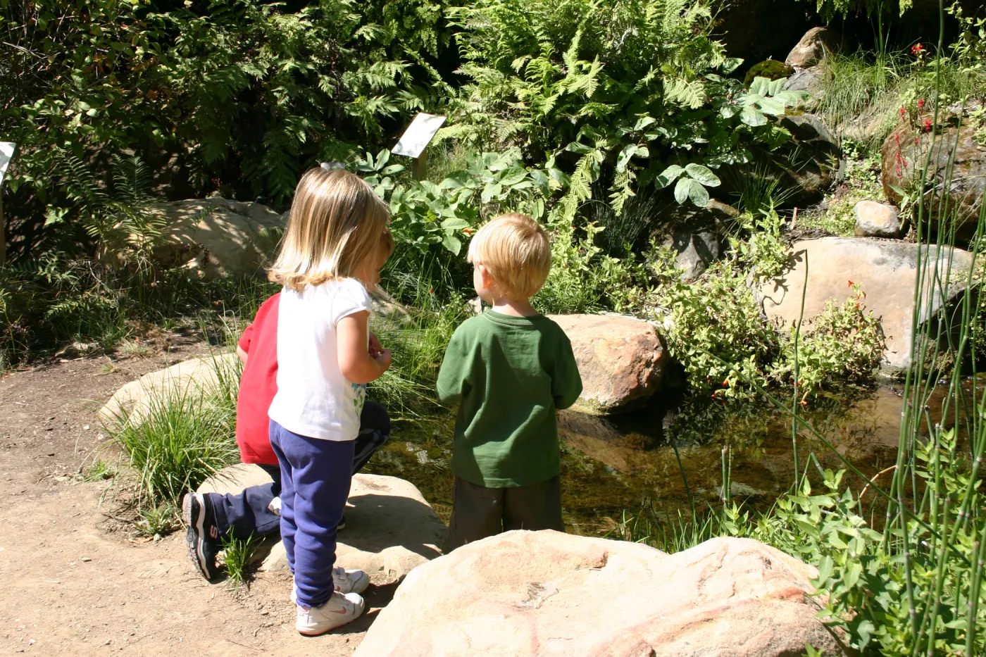 Discovery Garden, children