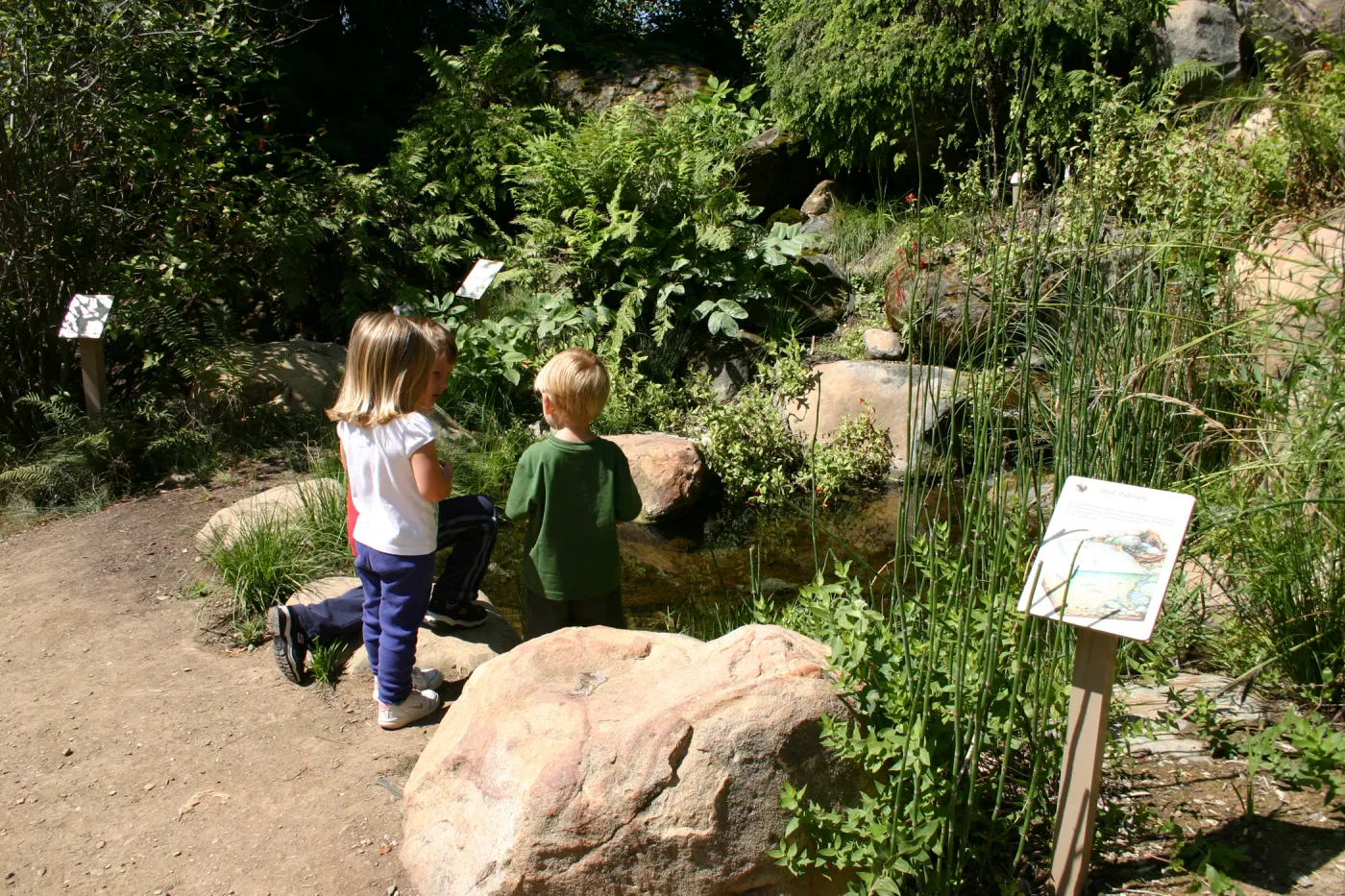 Discovery Garden, children