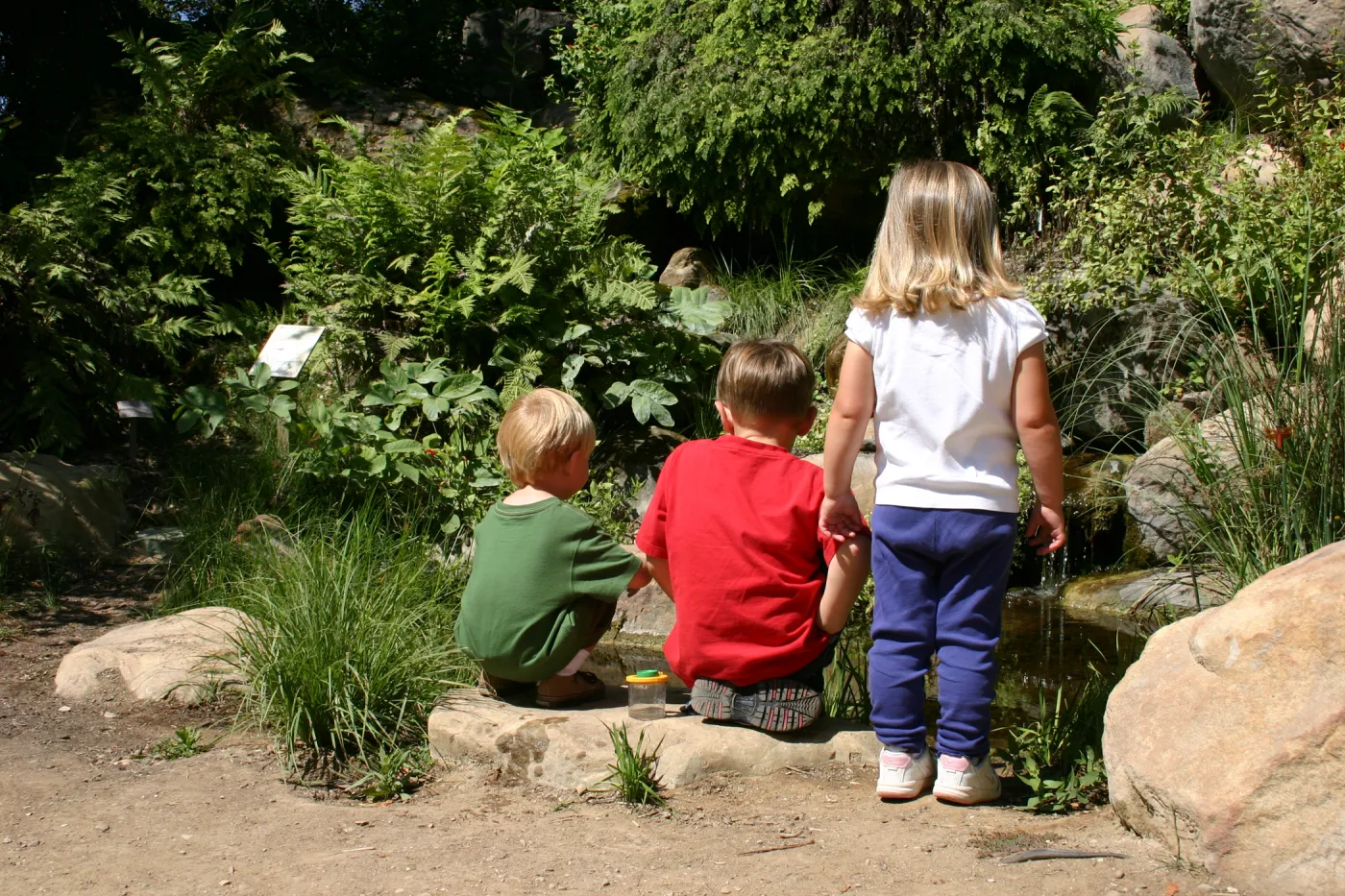 Discovery Garden, children