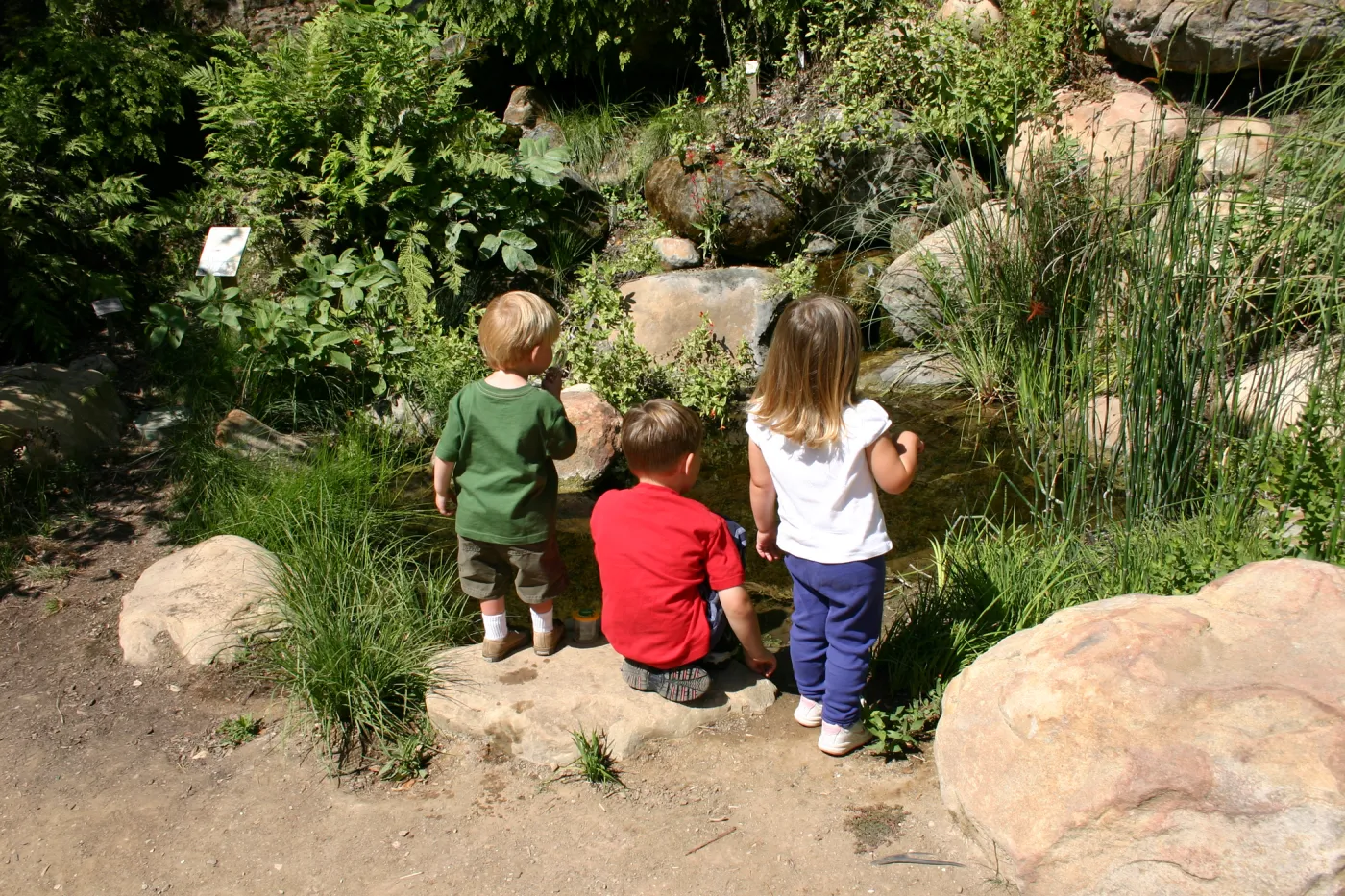 Discovery Garden, children