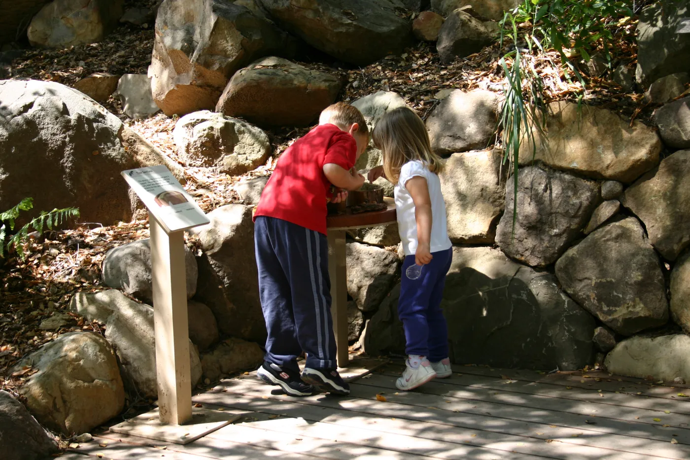 Discovery Garden, children