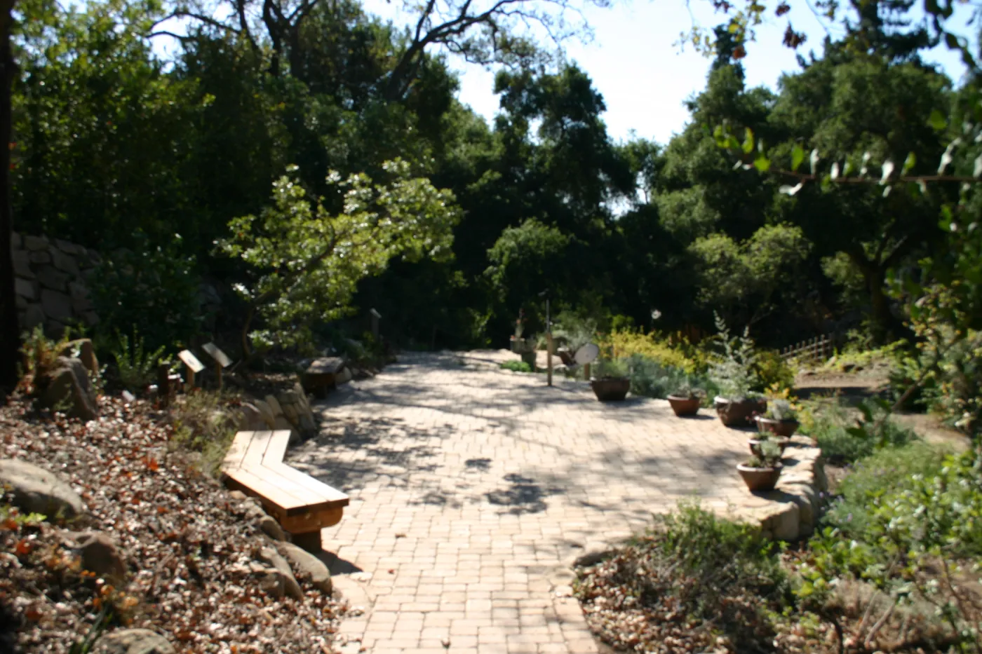 Discovery Garden pavered patio in the Arroyo, SBBG event location