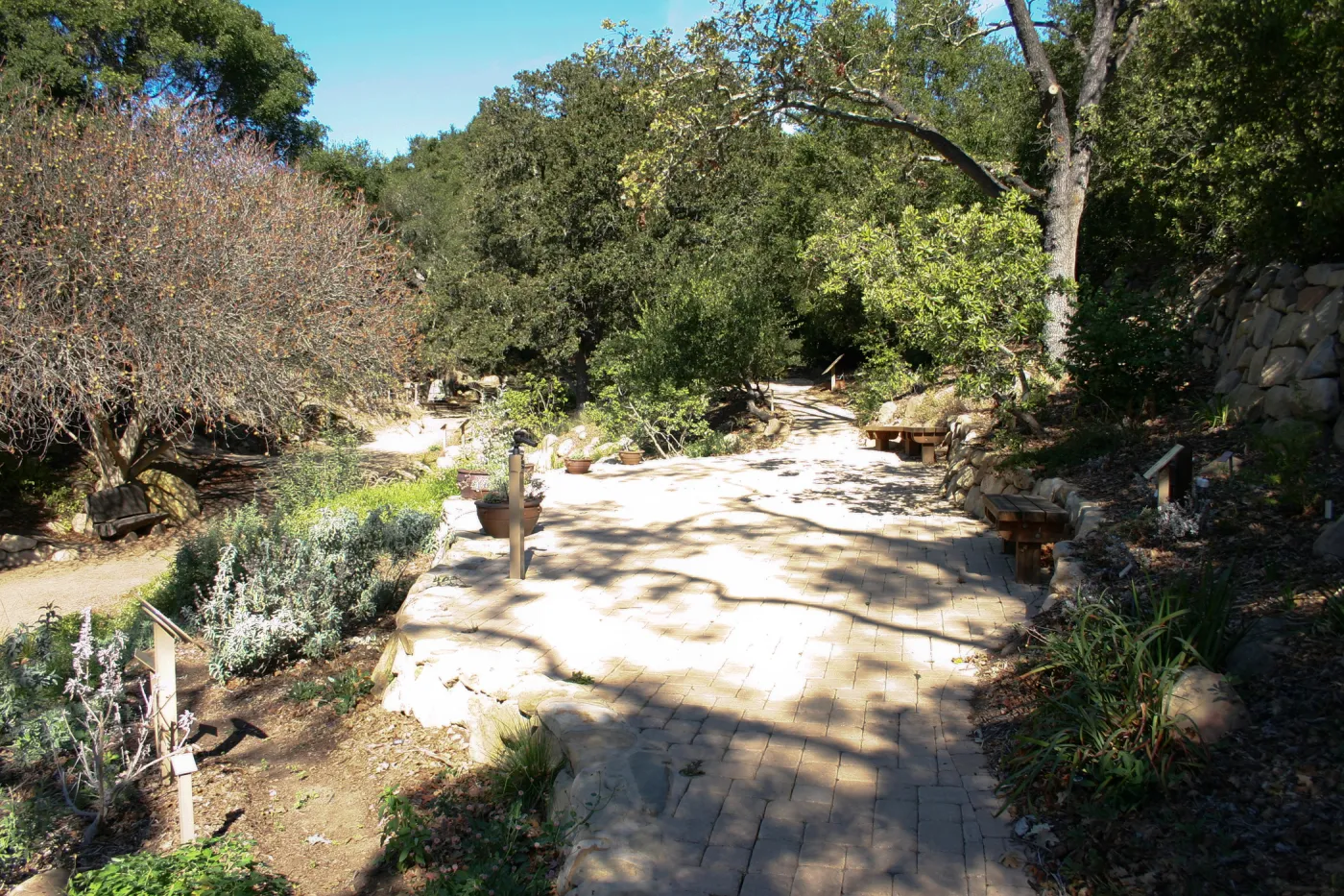 Discovery Garden pavered patio in the Arroyo, SBBG event location