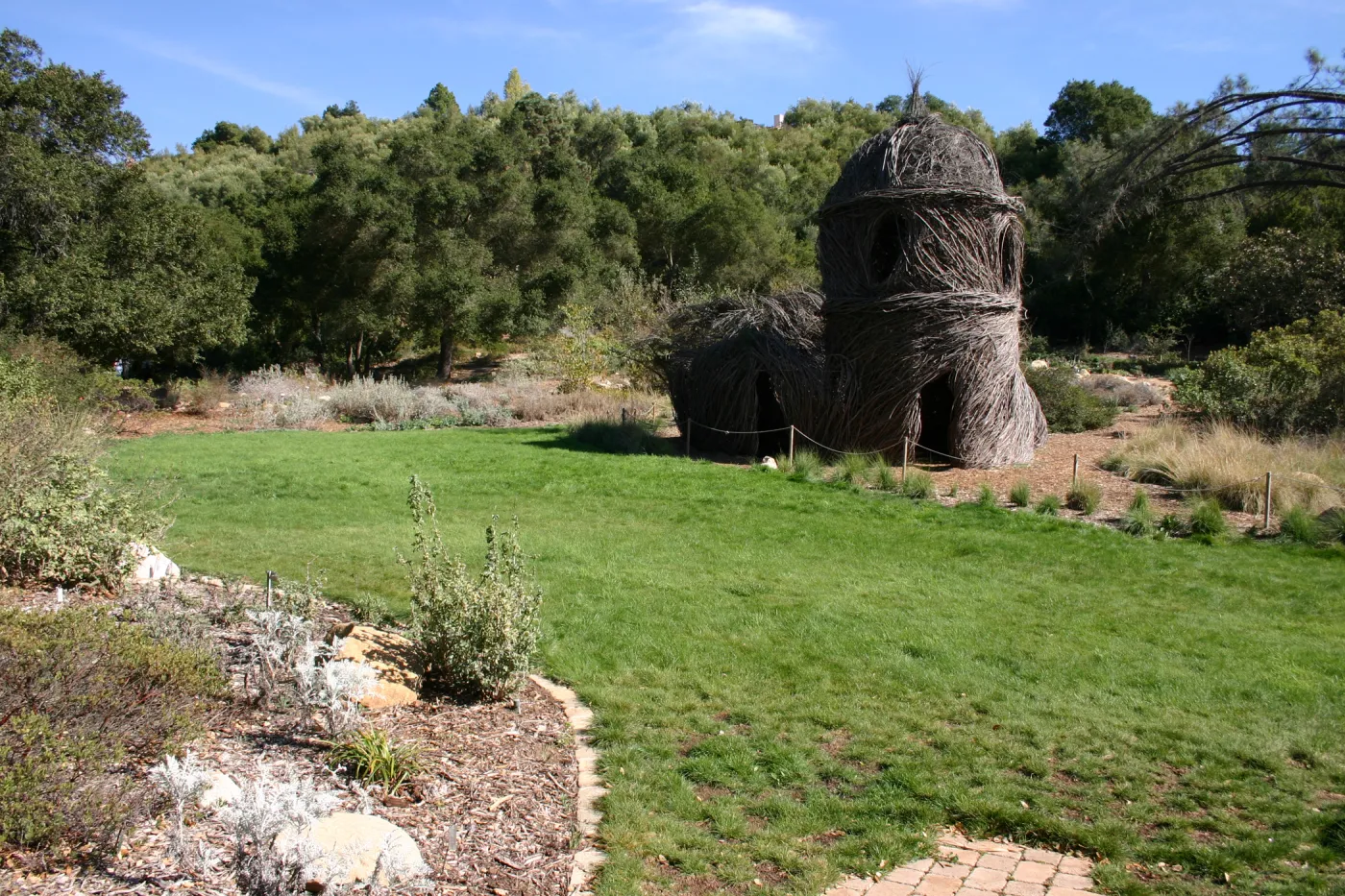 Meadow lawn, SBBG event location