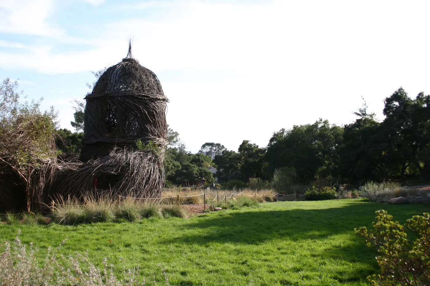 Meadow lawn, SBBG event location