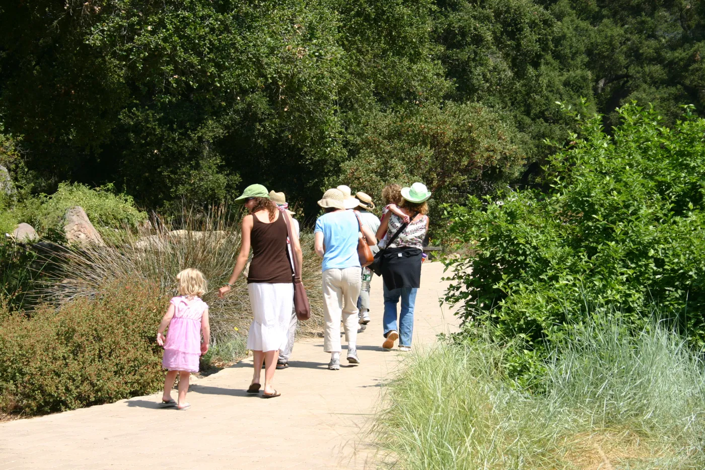 Docent tour in the garden