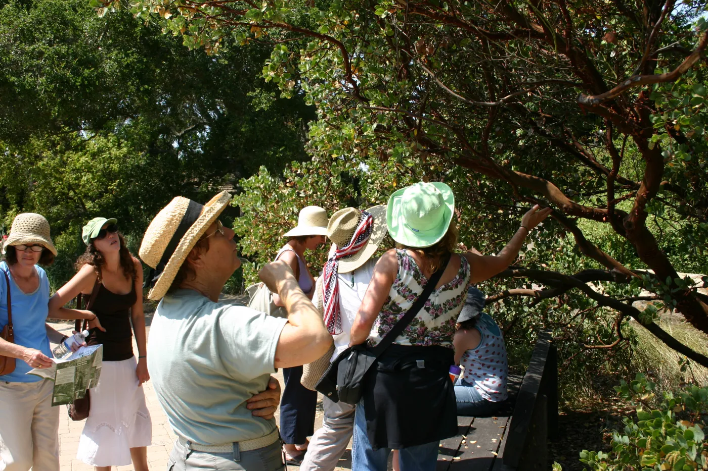 Docent tour in the garden