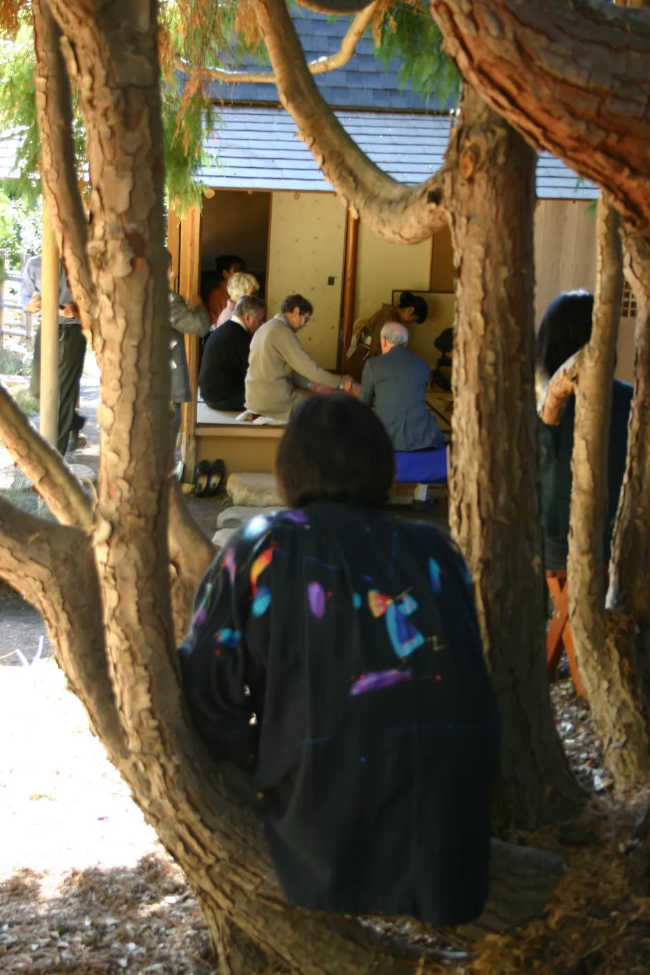 Tea Ceremony, SBBG Tea House