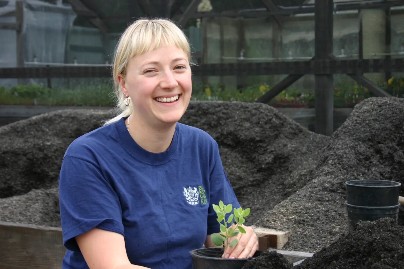 Lucy, Potting up plants at the Hort Unit