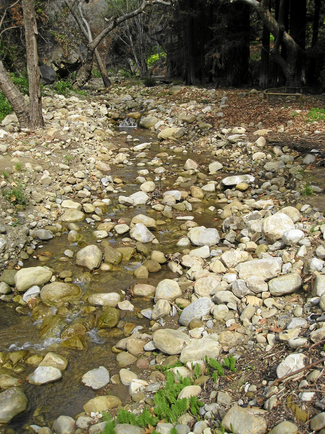 Mission Creek above dam show heavy siltation after fire