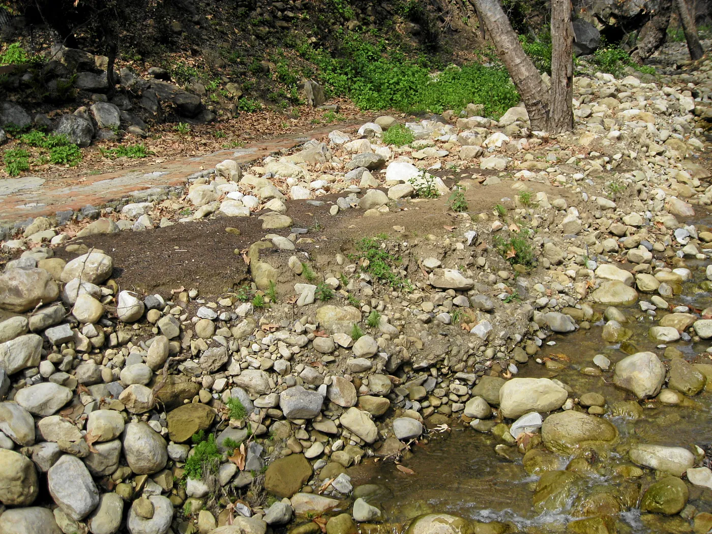 Mission Creek above dam show heavy siltation after fire