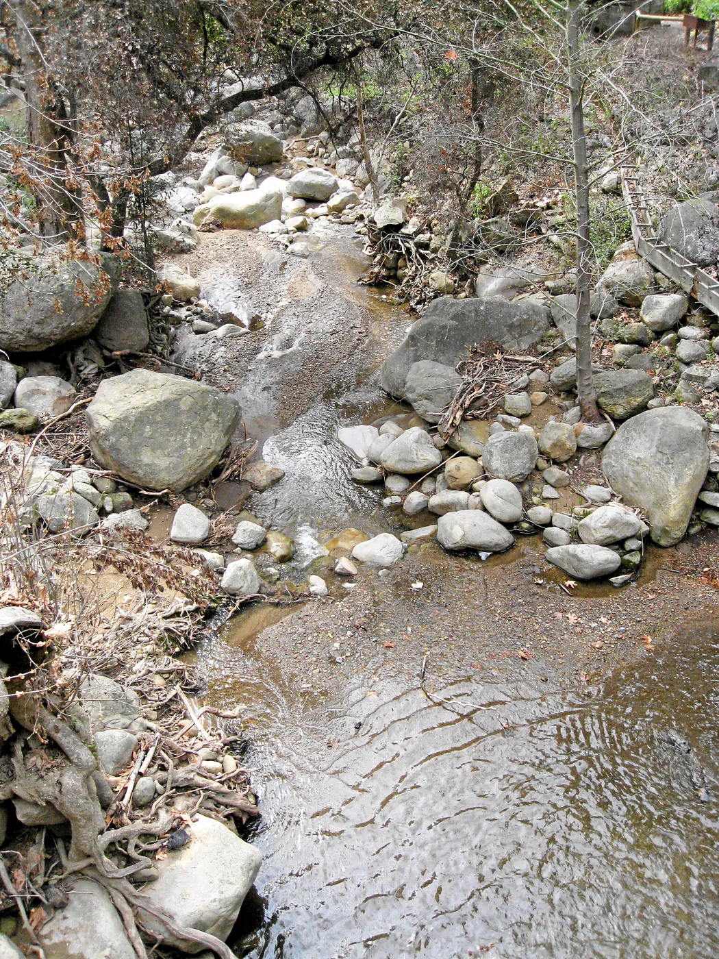 Mission Creek below dam showing heavy siltation after fire