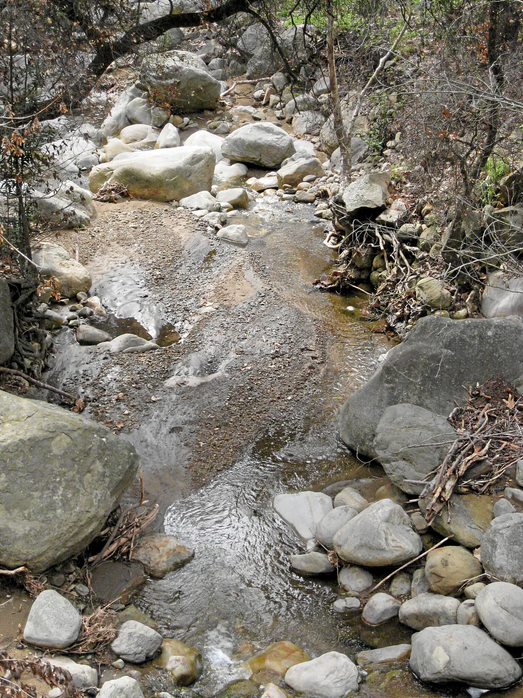 Mission Creek below dam showing heavy siltation after fire