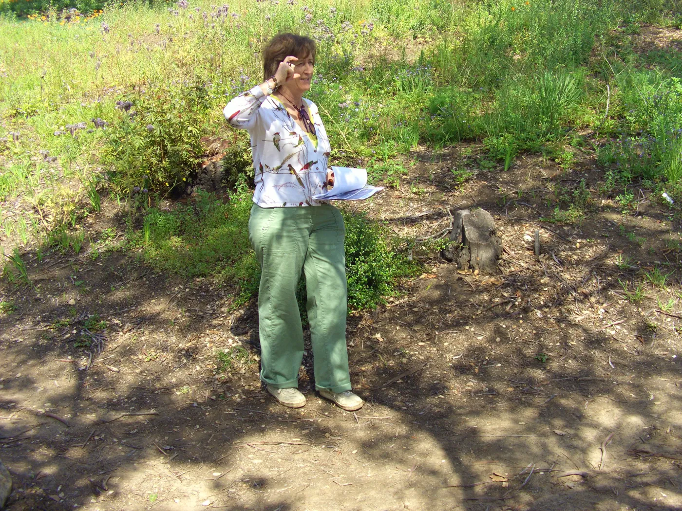 One year after Jesusita Fire - Cypress Section. Betsy Collins