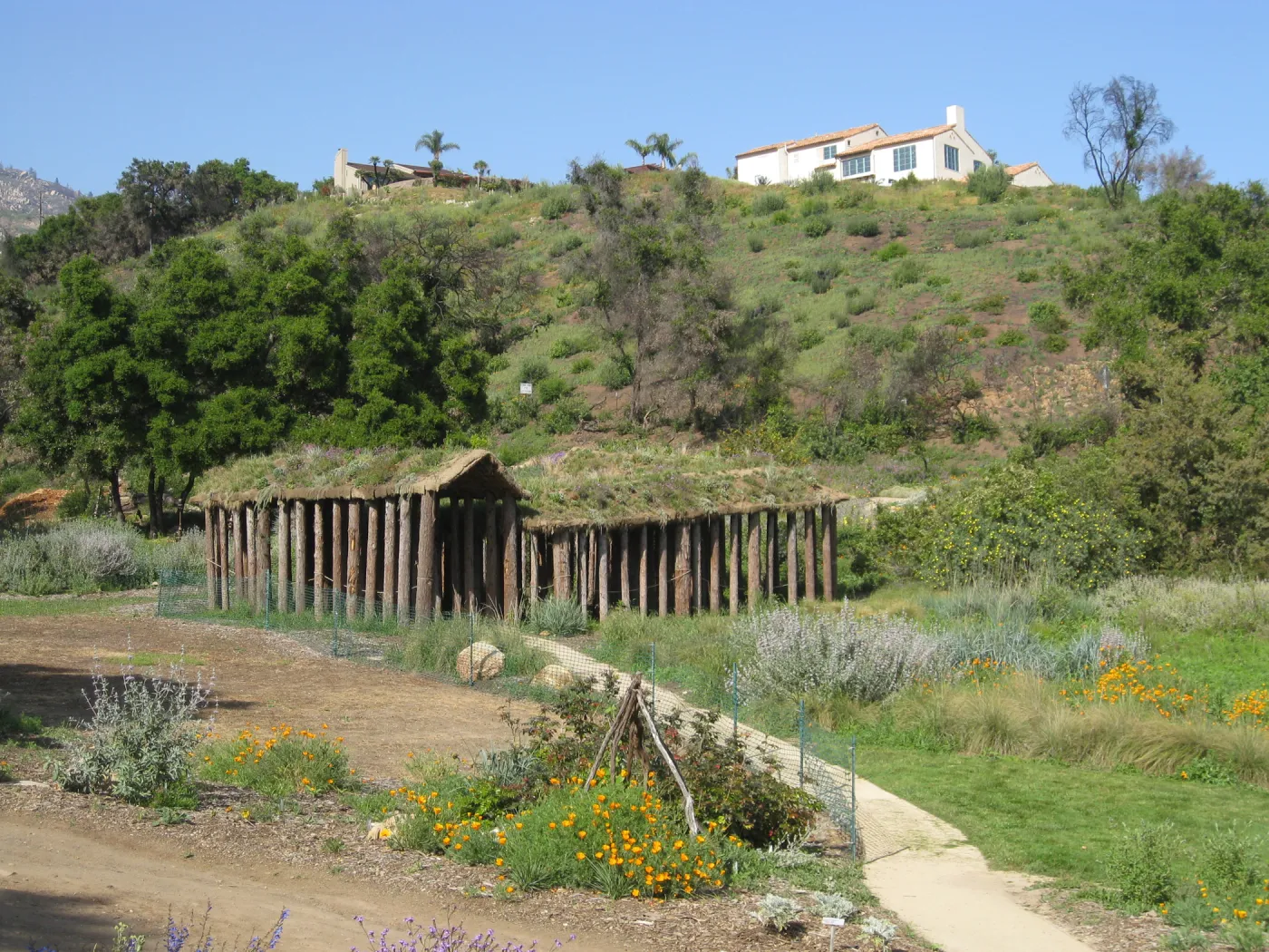 One year after Jesusita Fire. Labyrinth, Herb Parker exhibit