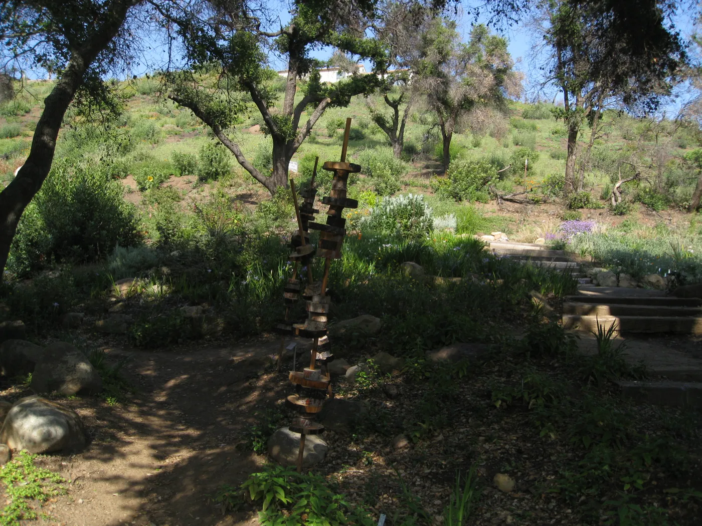 One year after Jesusita Fire. Meadow View with Art From the Ashes sculptures