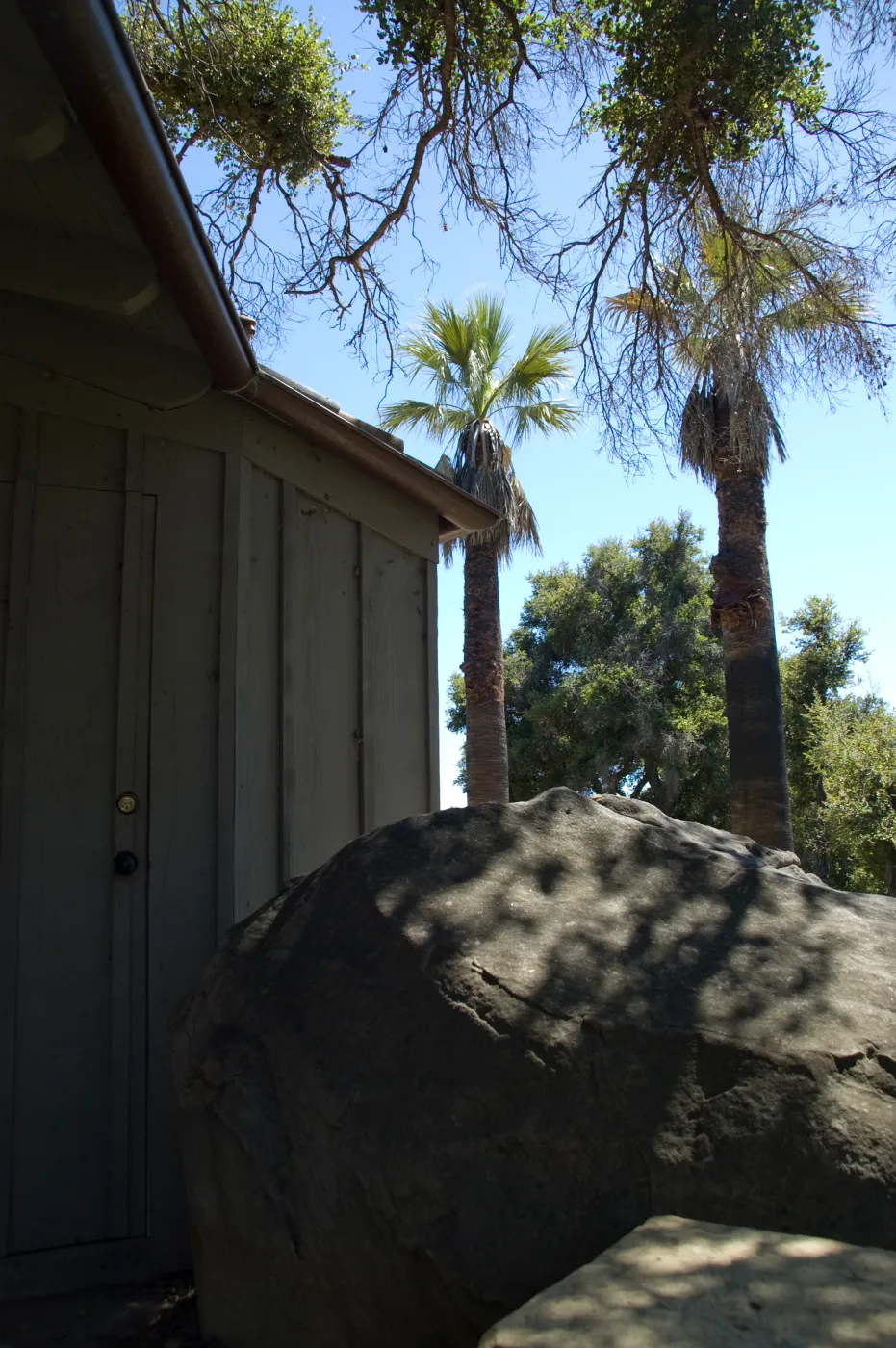Information Kiosk with two palms, SBBG 2 years after the Jesusita Fire