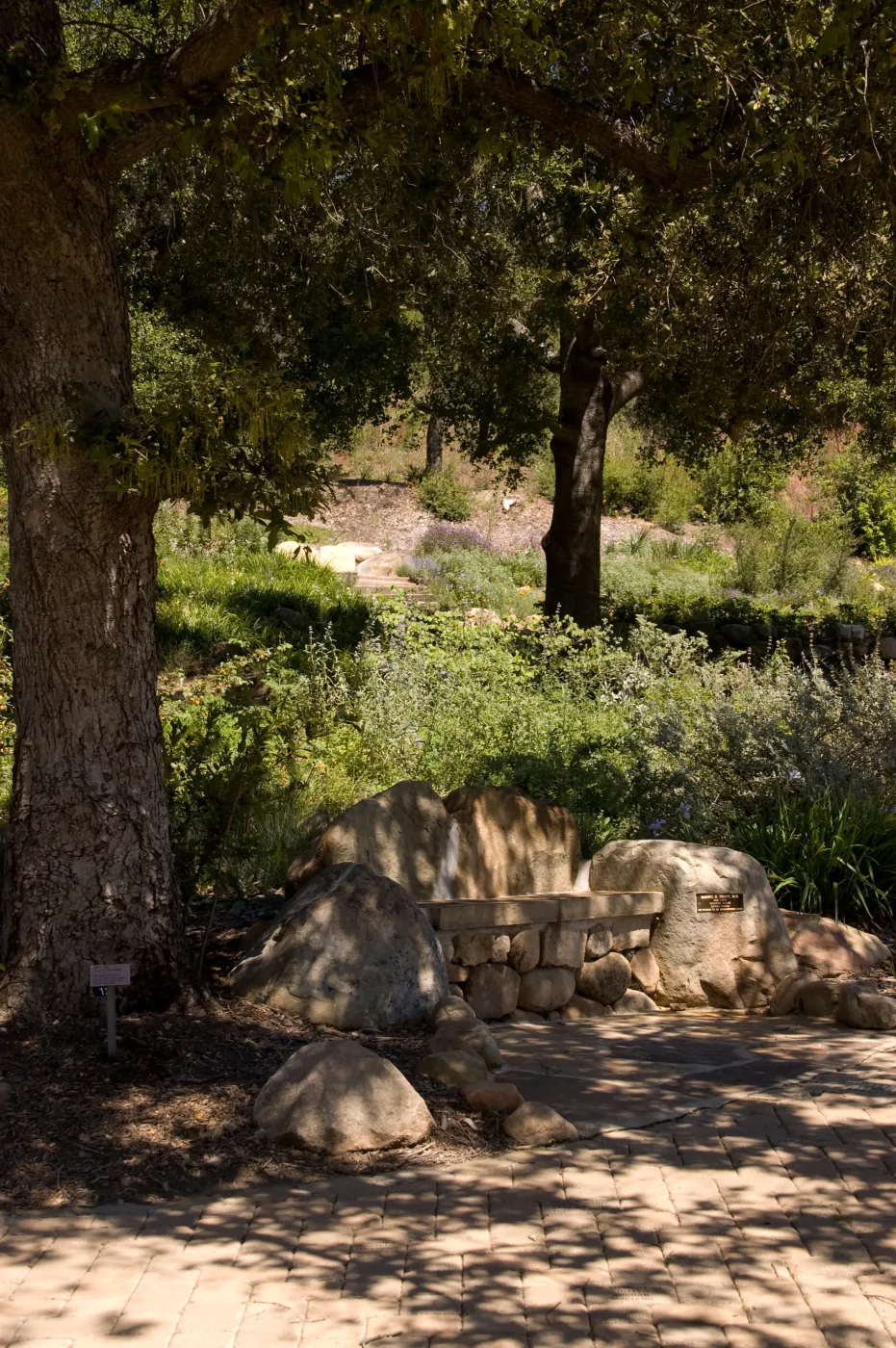 pavered path along the upper Meadow, new stone bench, SBBG 2 years after the Jesusita Fire