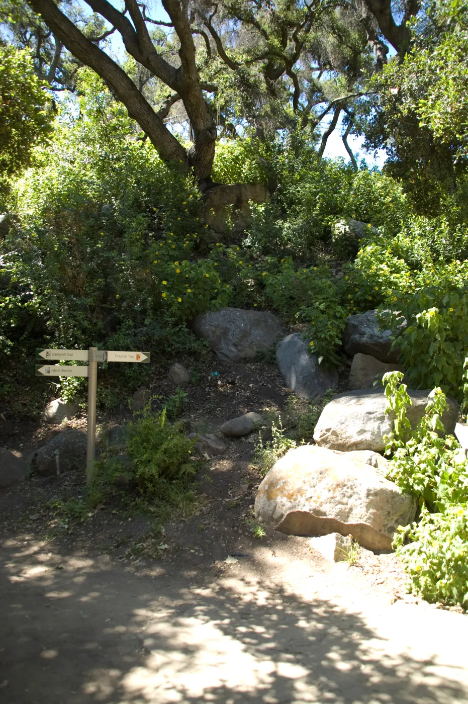 Pritchett Trail directional sign, SBBG 2 years after the Jesusita Fire