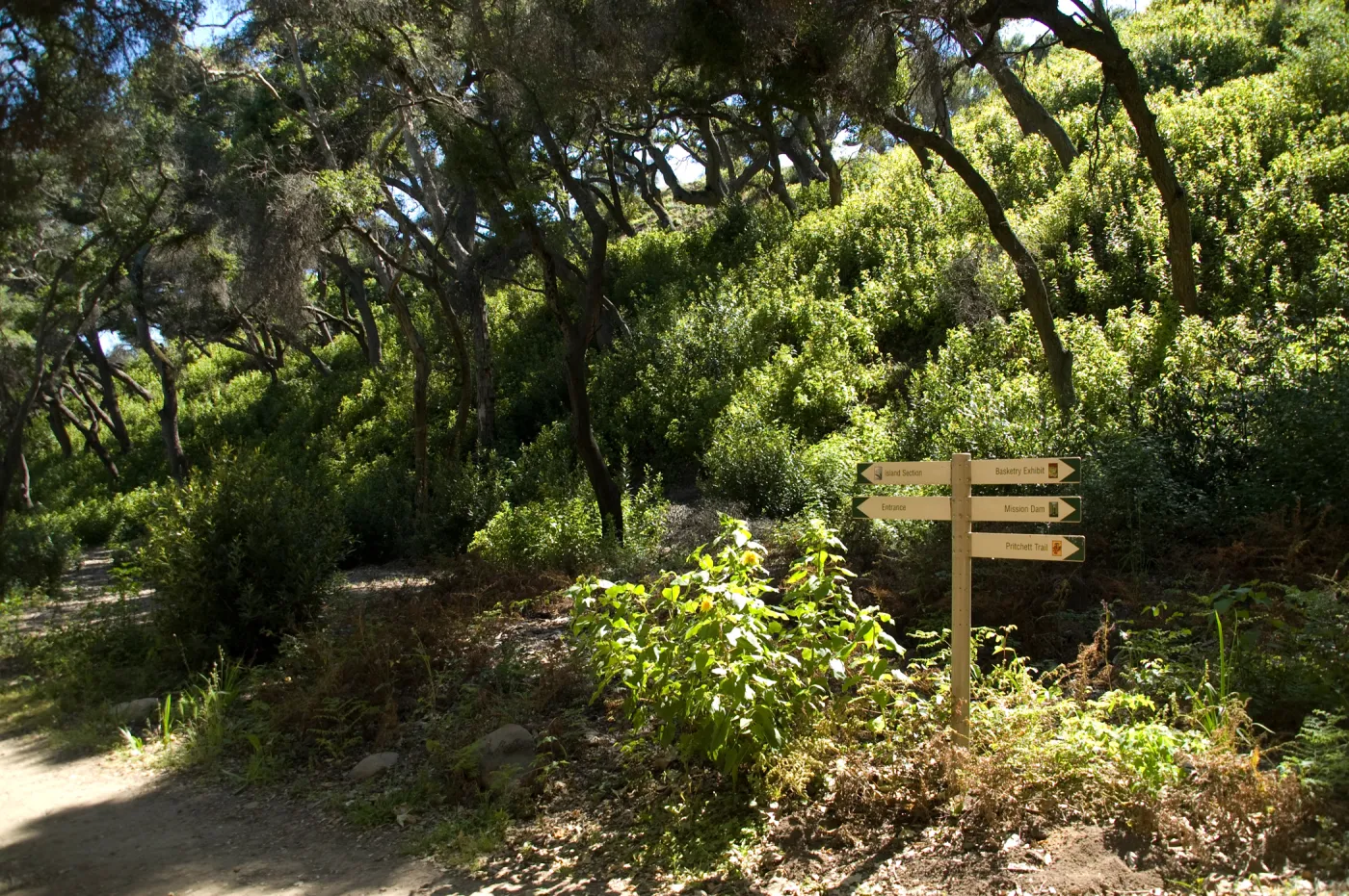 Directional sing in the Canyon, SBBG 2 years after the Jesusita Fire