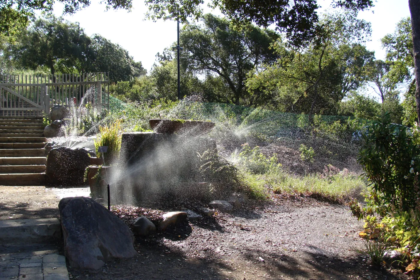Irrigation in the Conservation display garden, SBBG 2 years after the Jesusita Fire