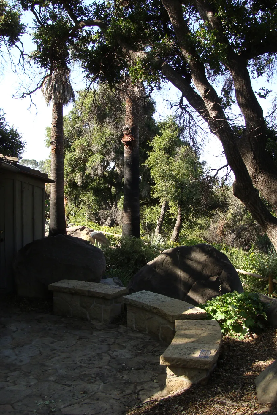stone bench behind the Information Kiosk, SBBG 2 years after the Jesusita Fire