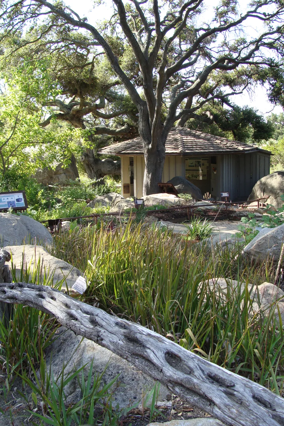 Information Kiosk, view from the Meadow Pond and Brook and Orchid Display side, SBBG 2 years after the Jesusita Fire