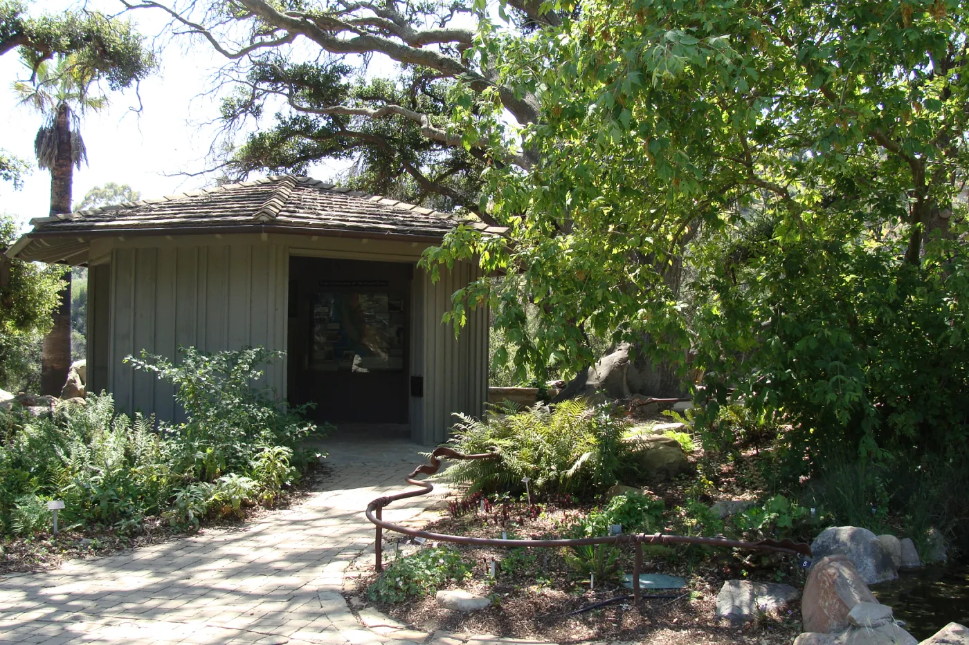 Meadow pond, Information Kiosk, SBBG 2 years after the Jesusita Fire