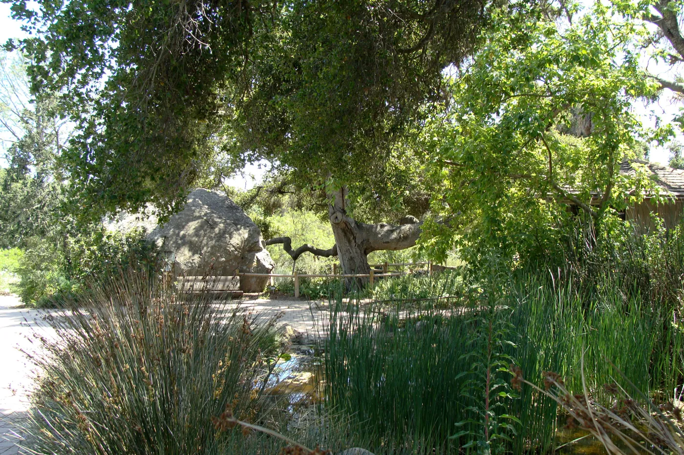 Meadow pond, Blaksley Boulder, Information Kiosk, SBBG 2 years after the Jesusita Fire