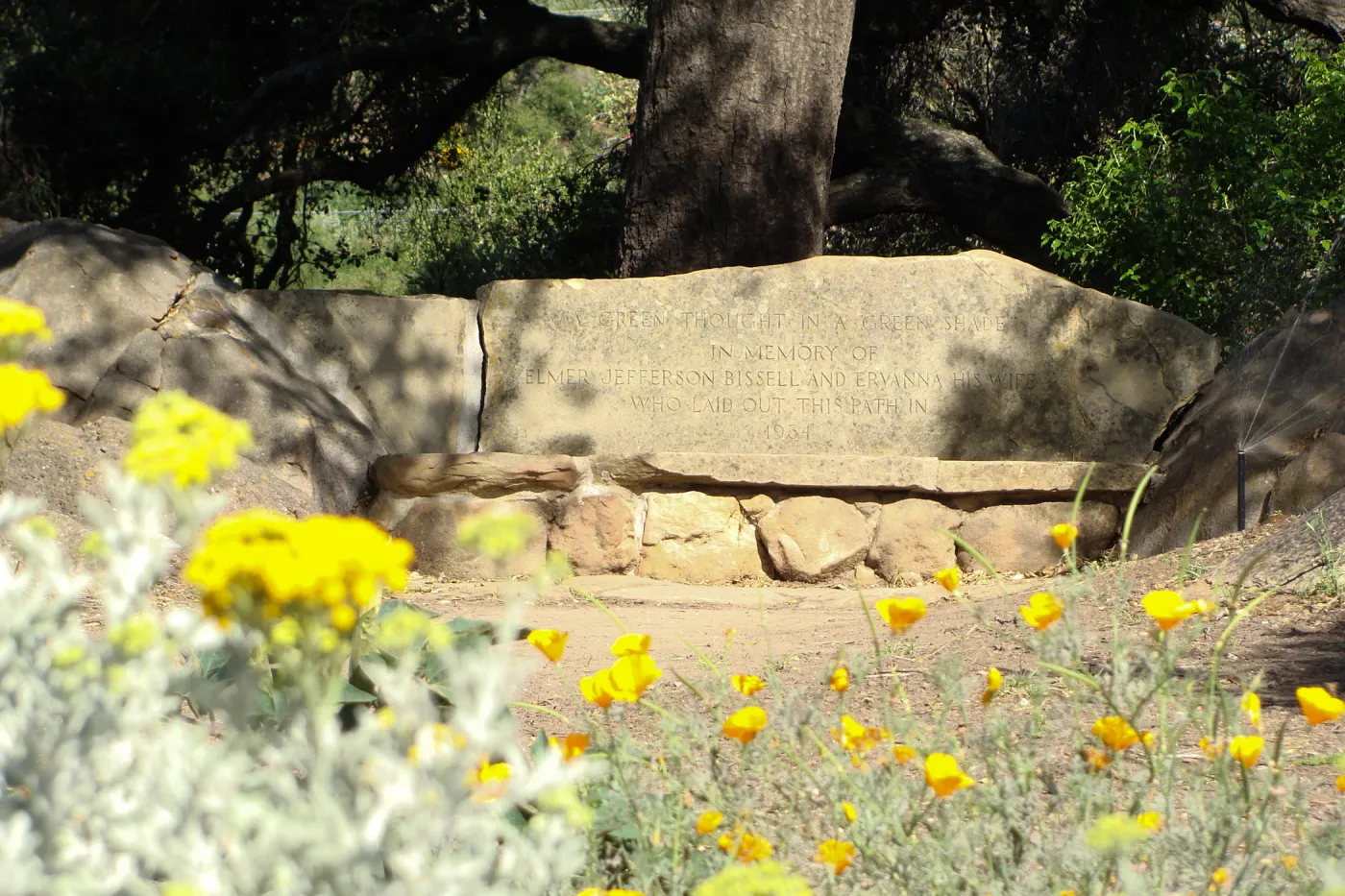 stone bench, Bissell Bench on the edge of the Meadow, SBBG 2 years after the Jesusita Fire