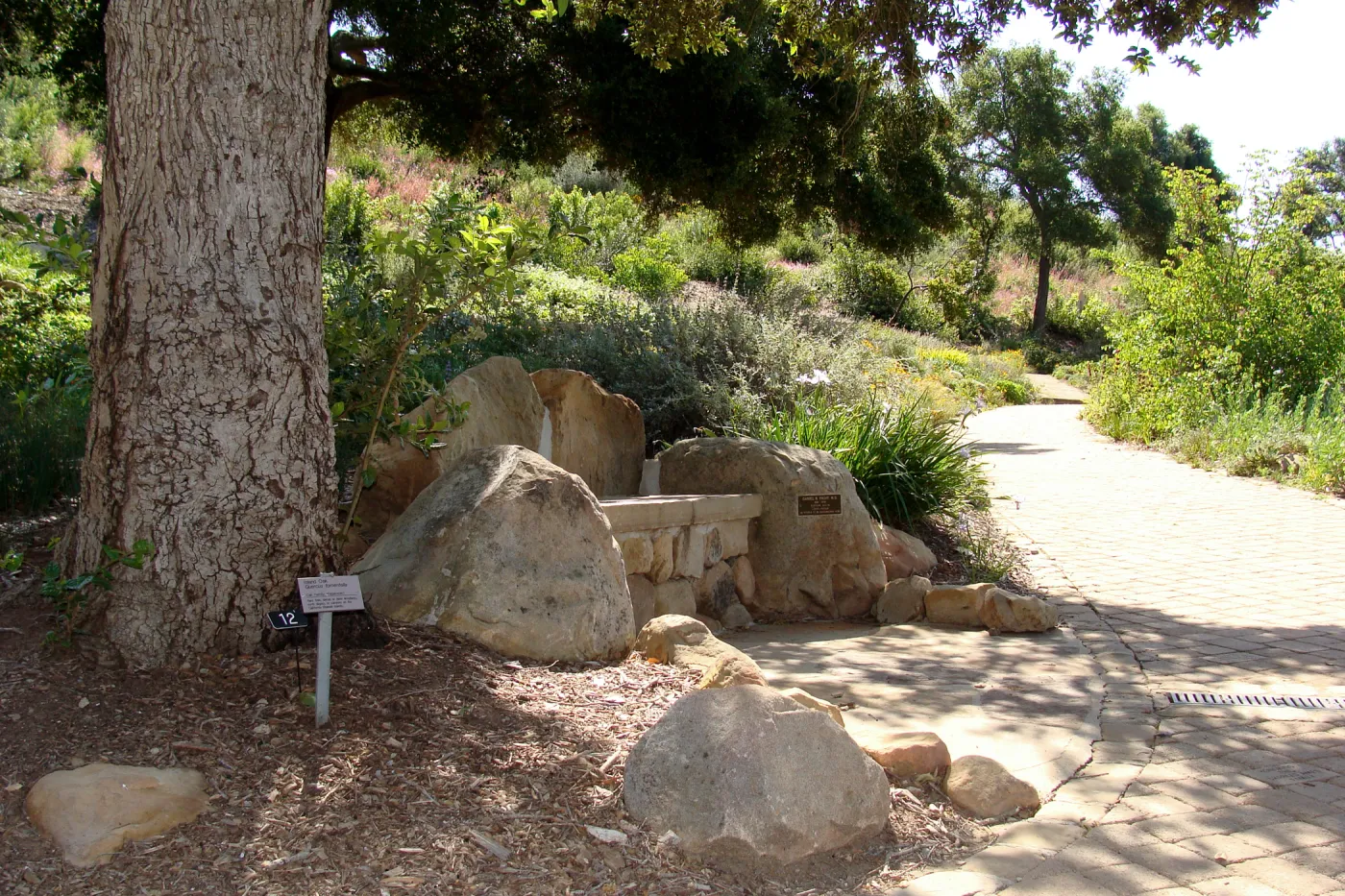 new stone bench at the top of the Meadow, Meadow View, SBBG 2 years after the Jesusita Fire