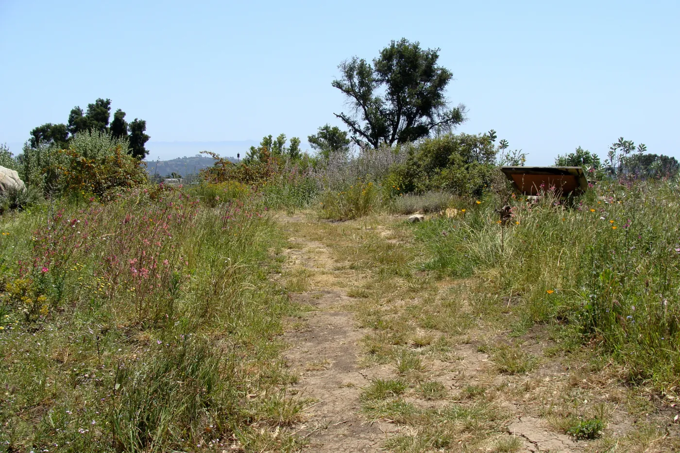 Porter Trail, SBBG 2 years after the Jesusita Fire, back side of Chaparral sign