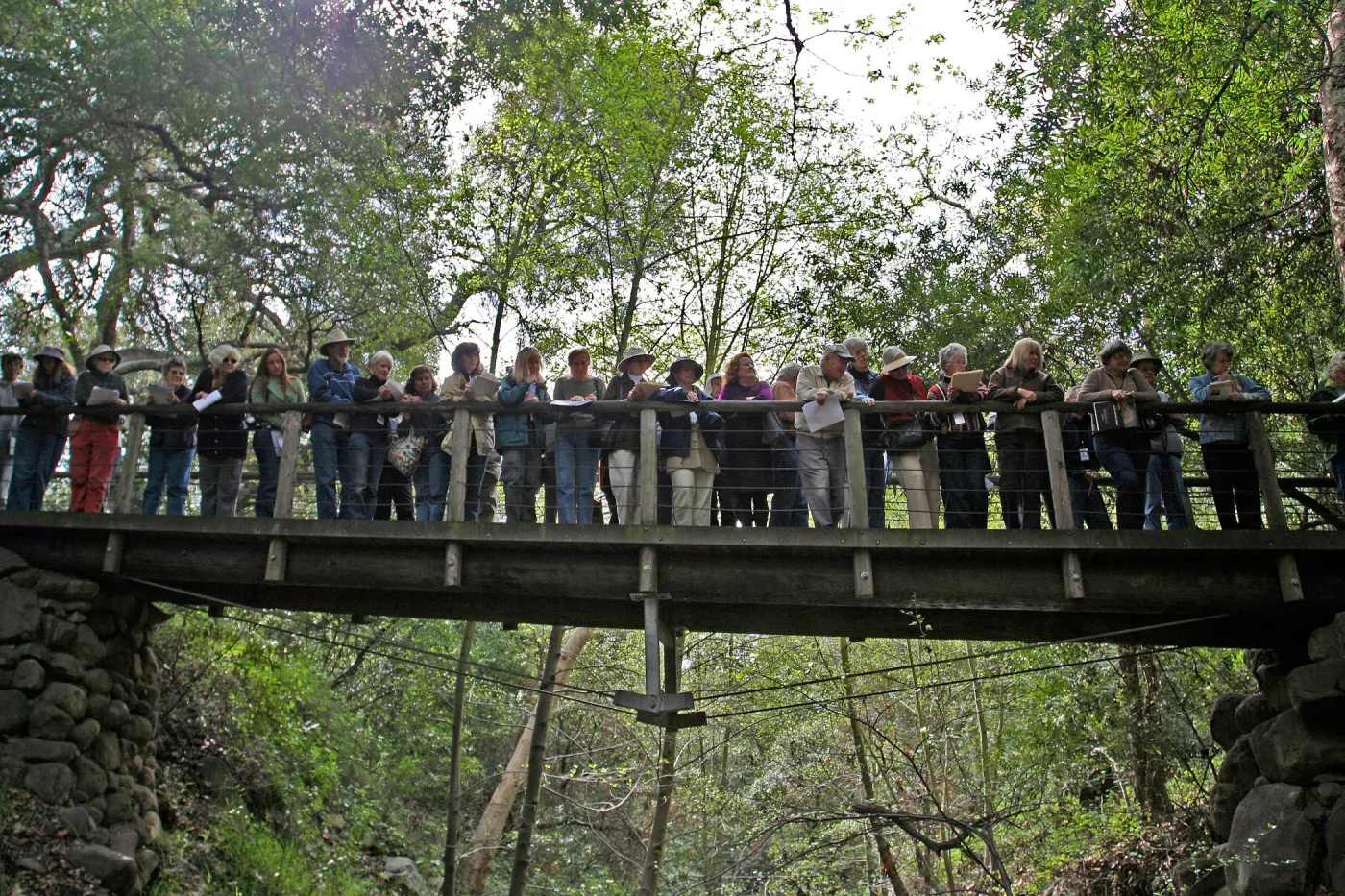 SBBG Docents on the Campbell Bridge, view of bridge span across Mission Creek