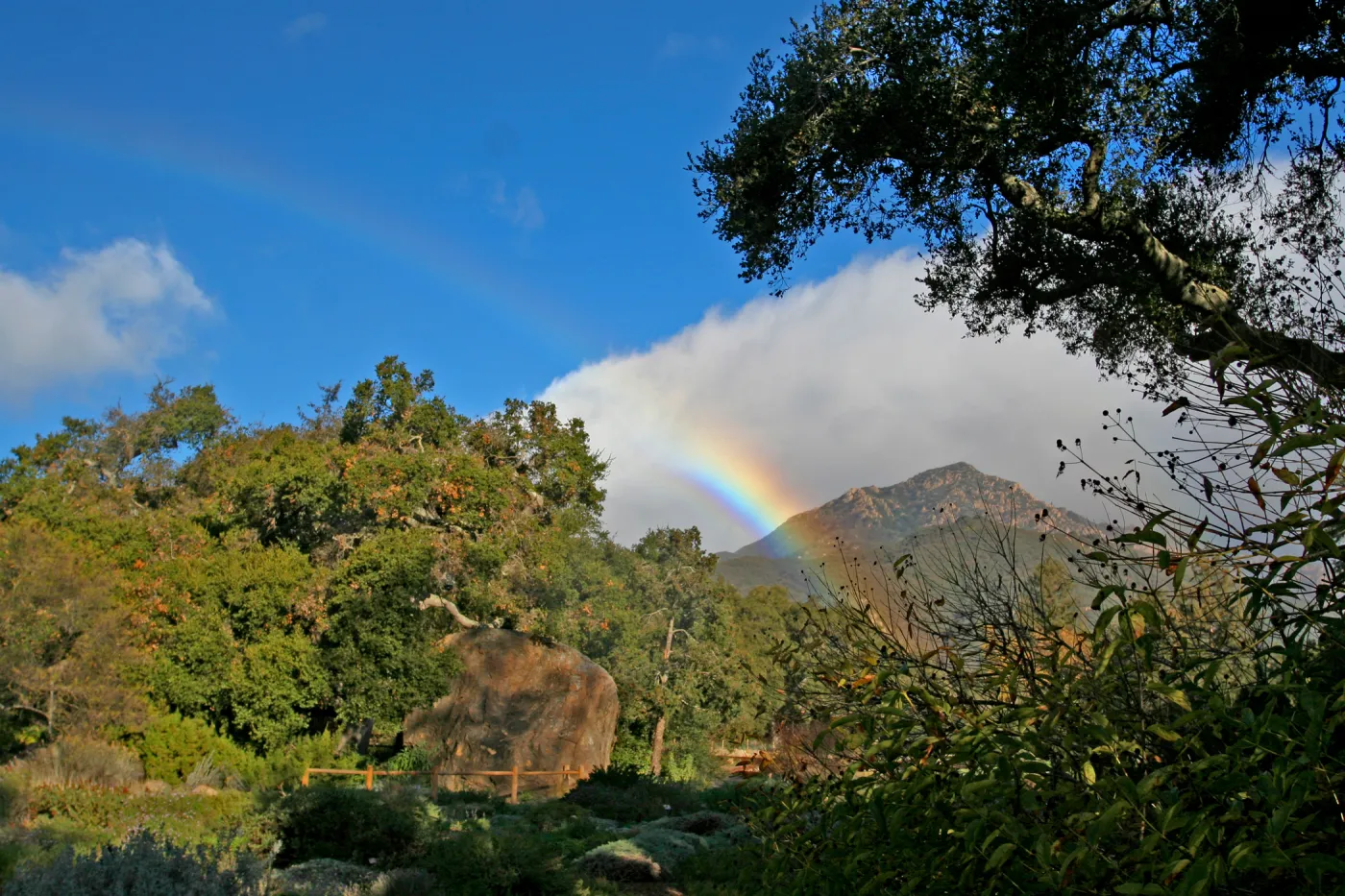 SBBG rainbow, Arlington Peak
