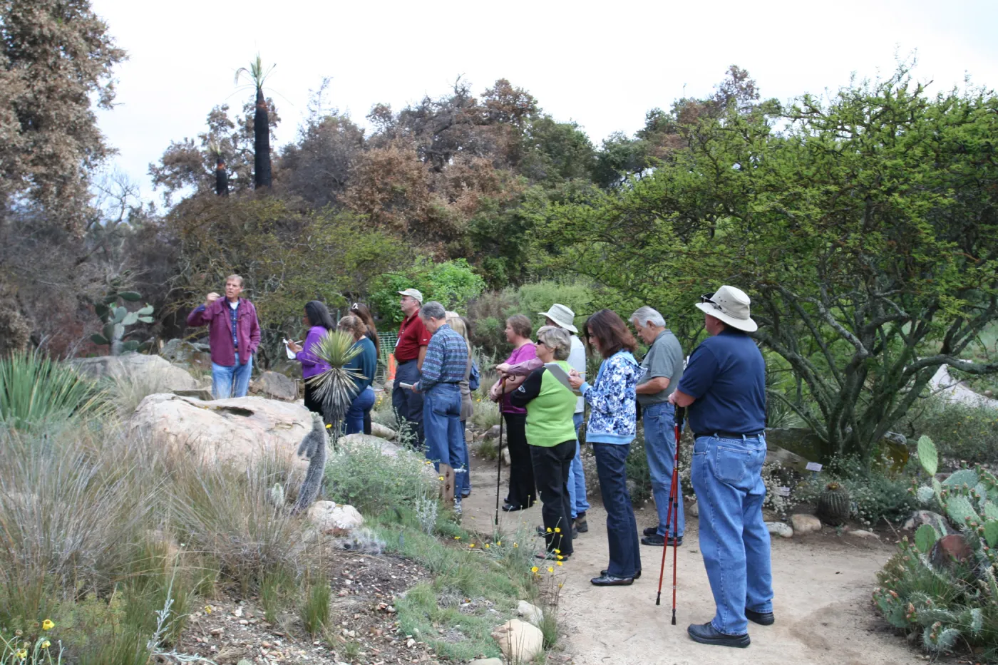 Docent Graduation and Fire Walk after the Jesusita Fire