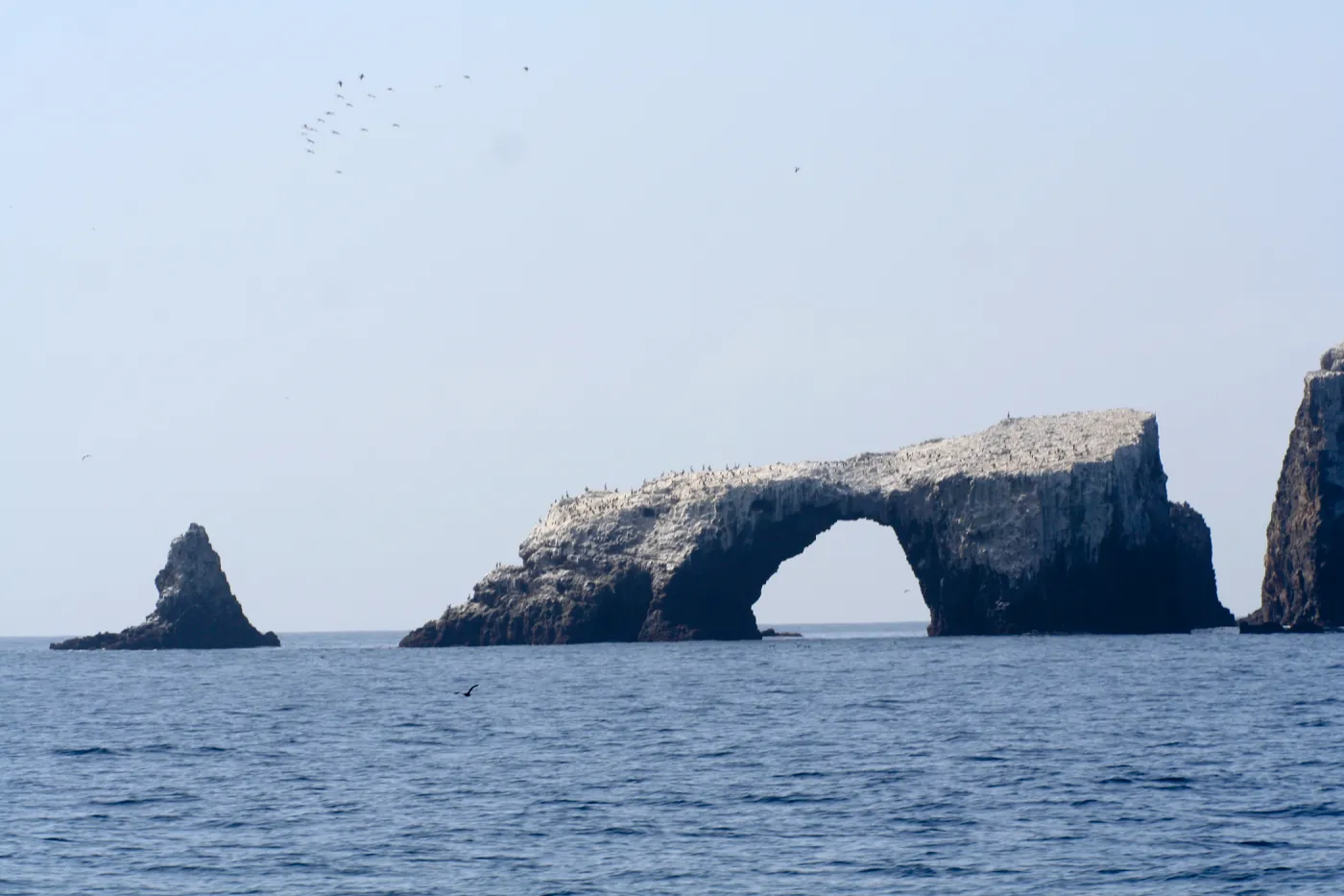 Arch Rock, Anacapa Island, SBBG field trip, 2008