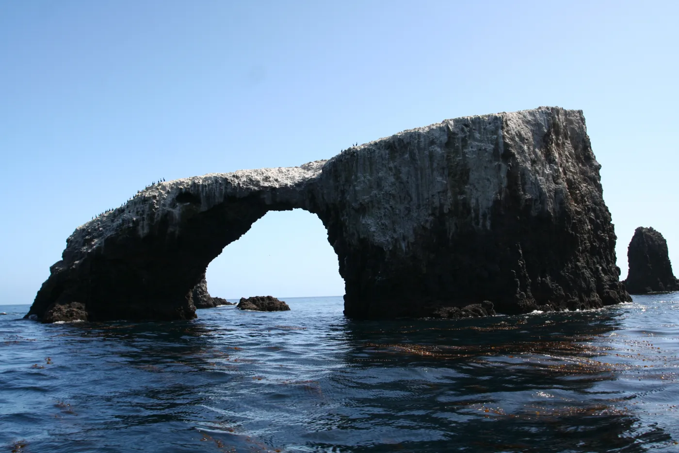 Arch Rock, Anacapa Island, SBBG field trip, 2008