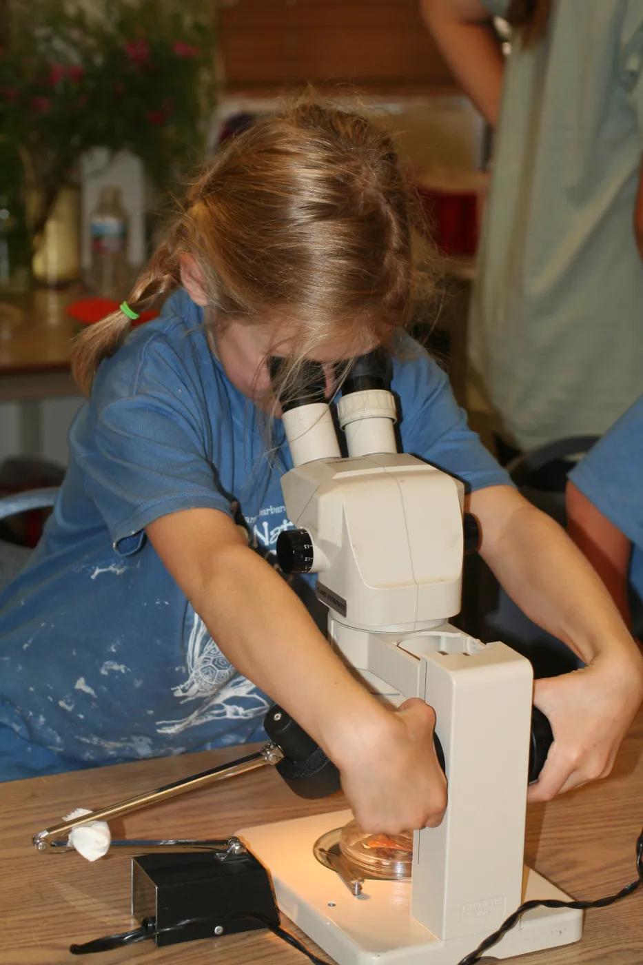 using microscopes in the Arroyo Room, SBBG Summer Nature Camp, 2006