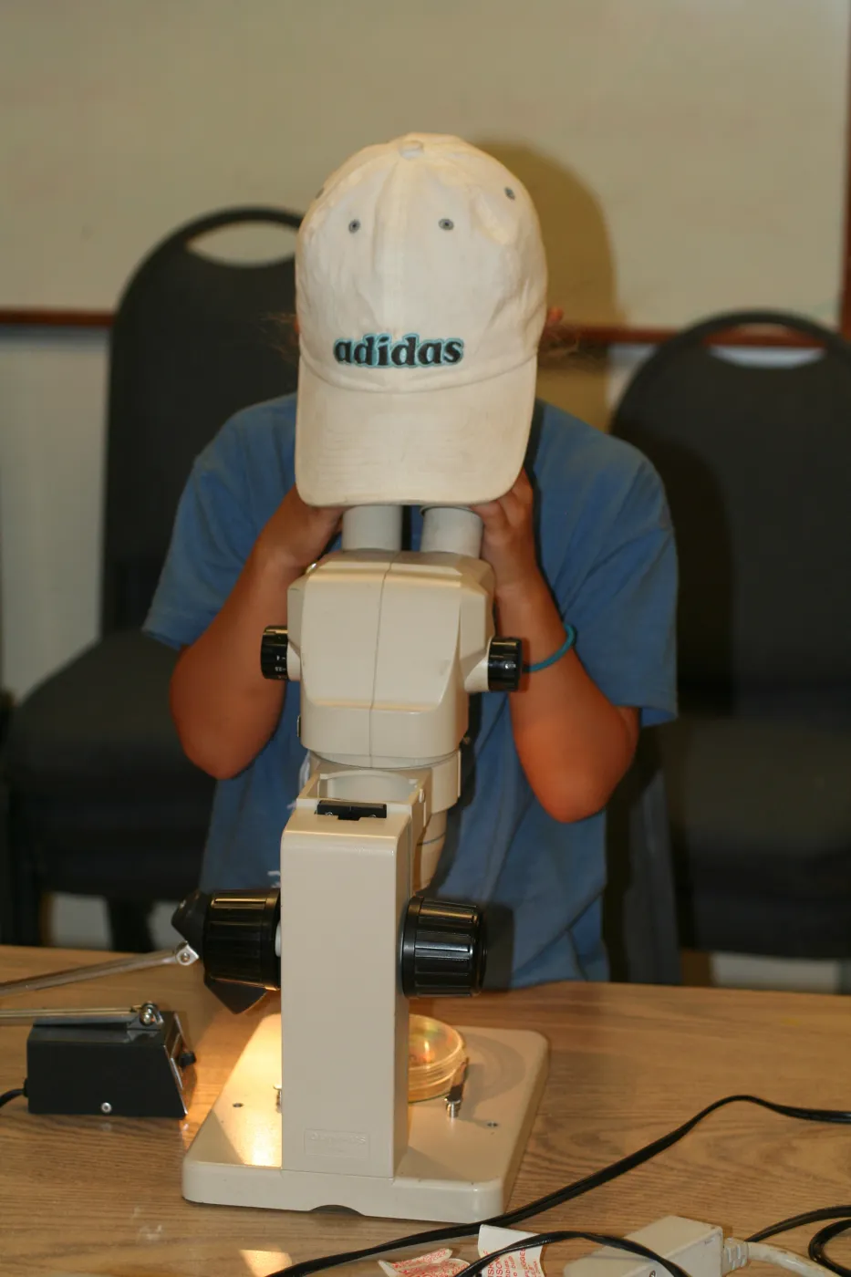 using microscopes in the Arroyo Room, SBBG Summer Nature Camp, 2006